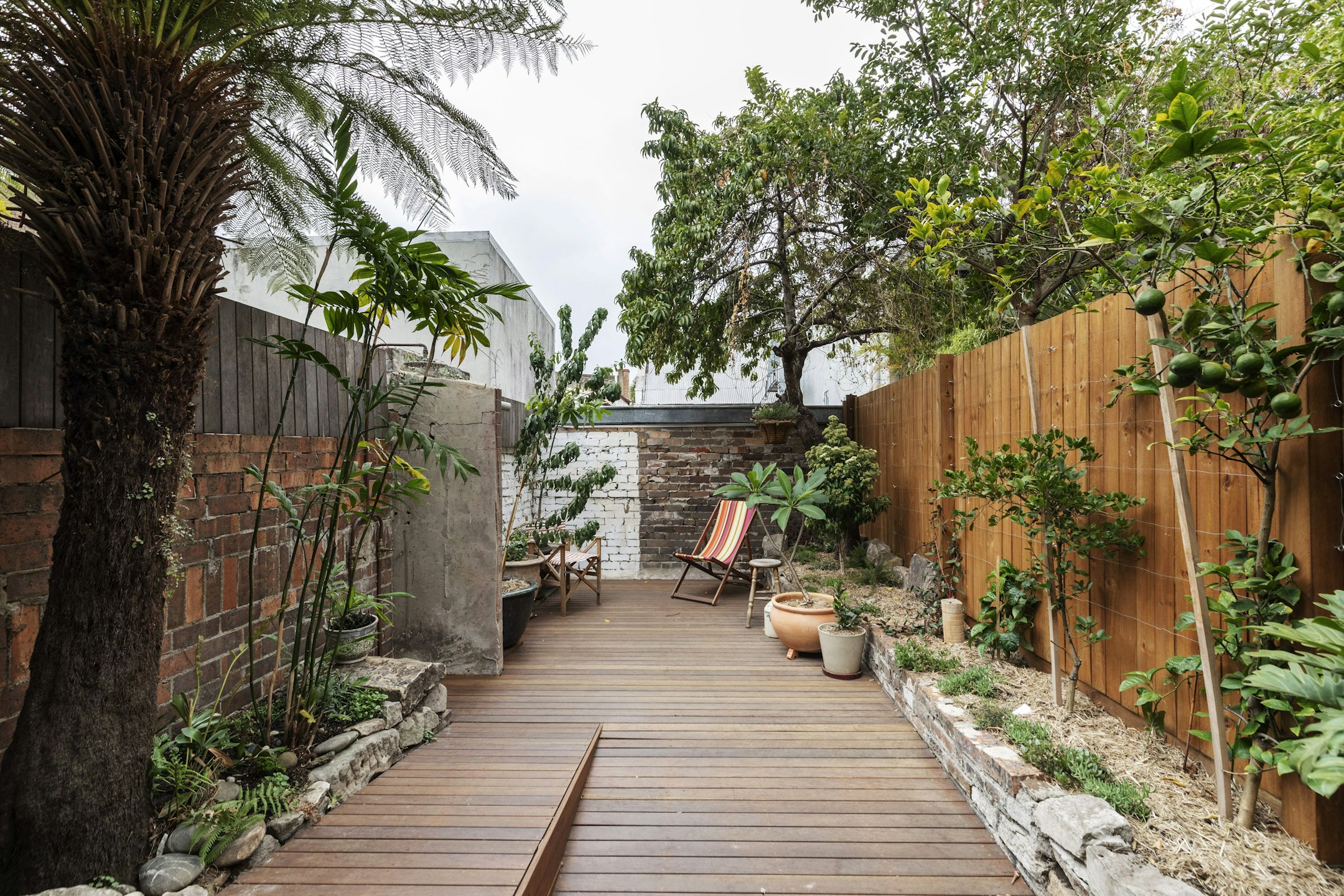 garden