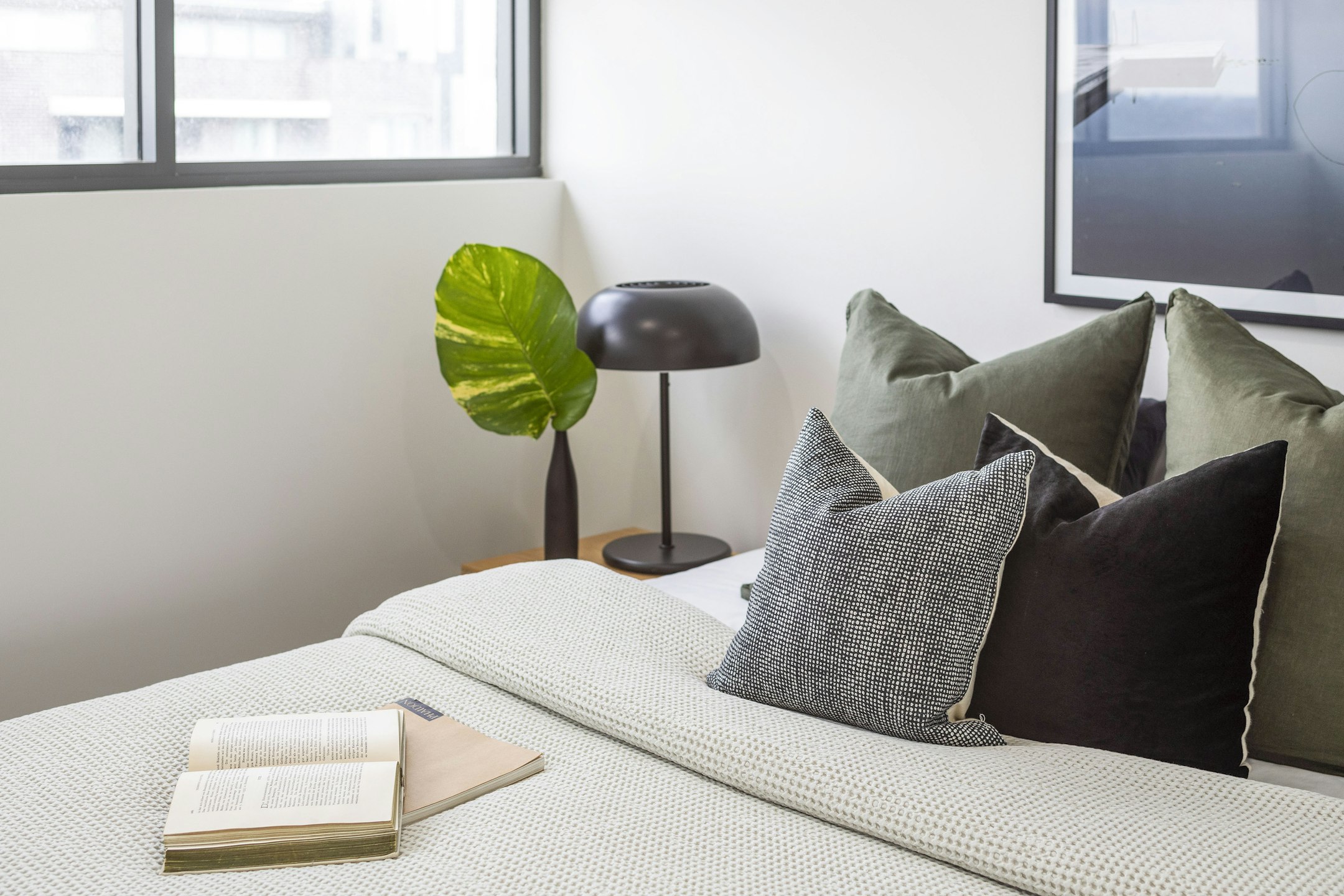 cushion