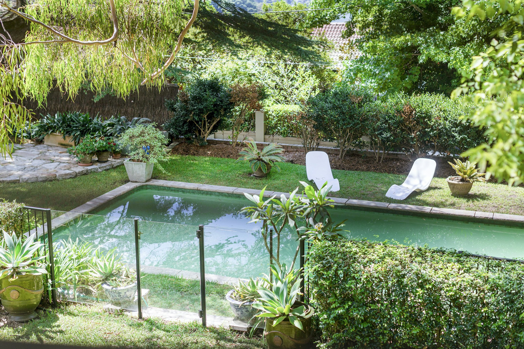 garden