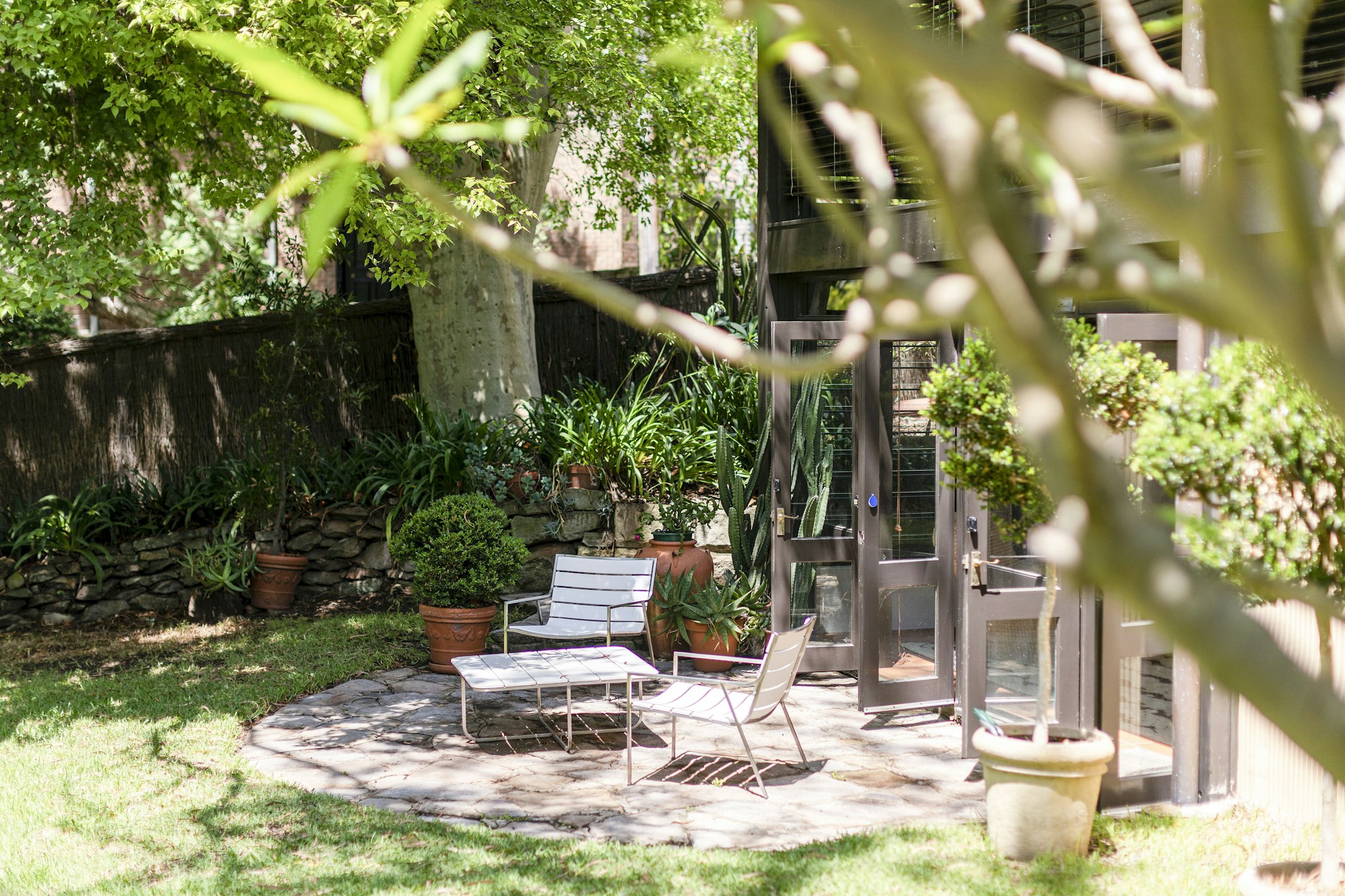 backyard