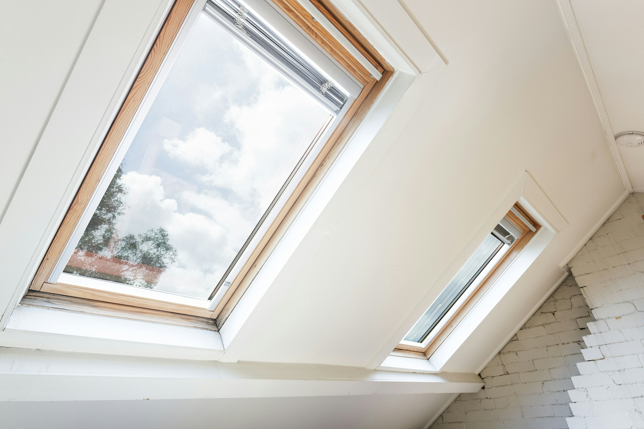 window