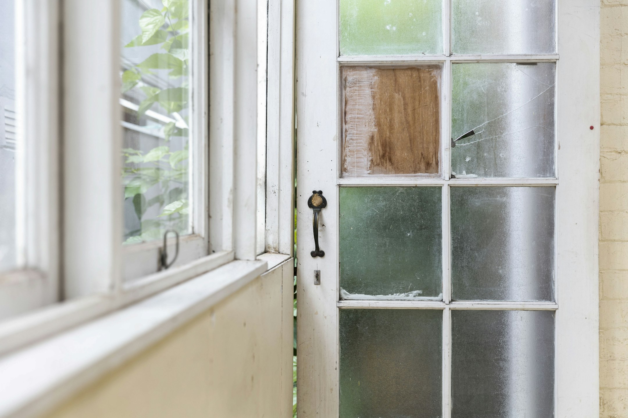 window