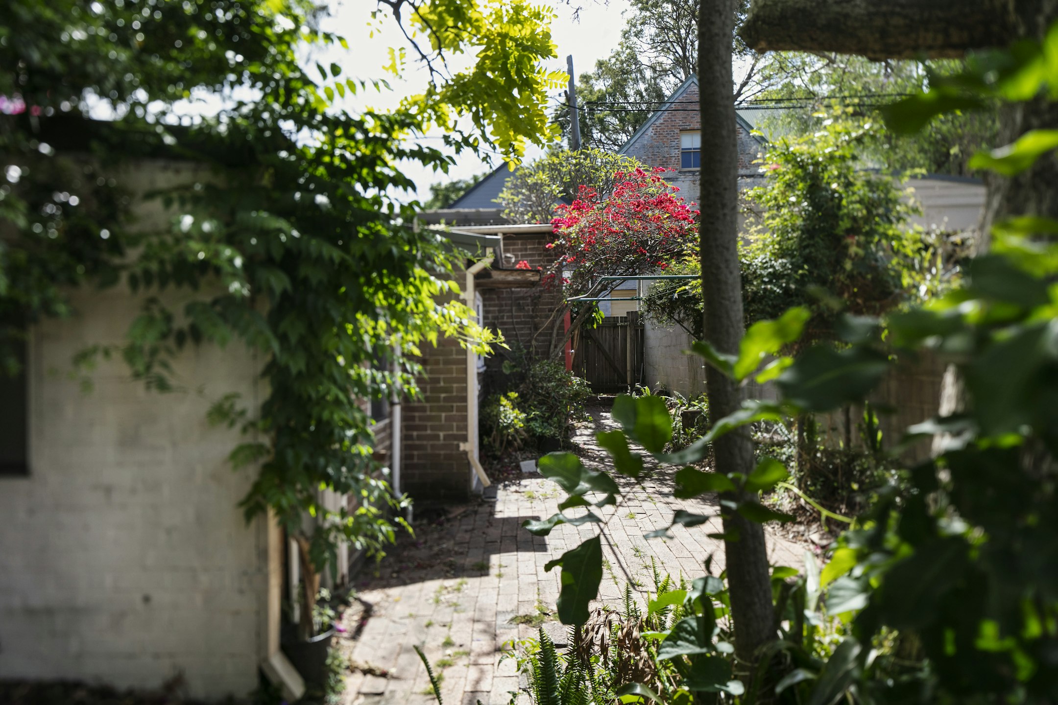 garden