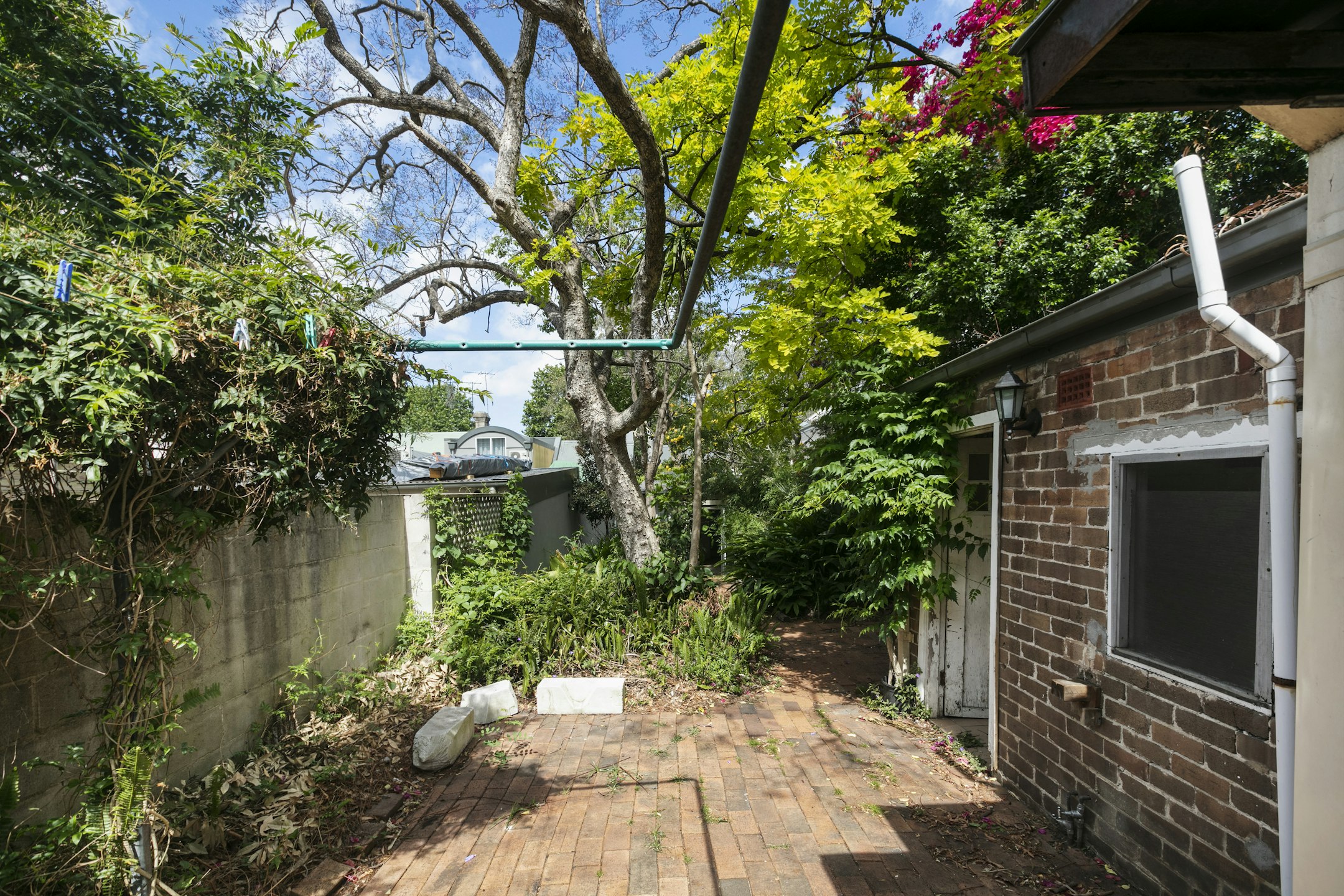 garden