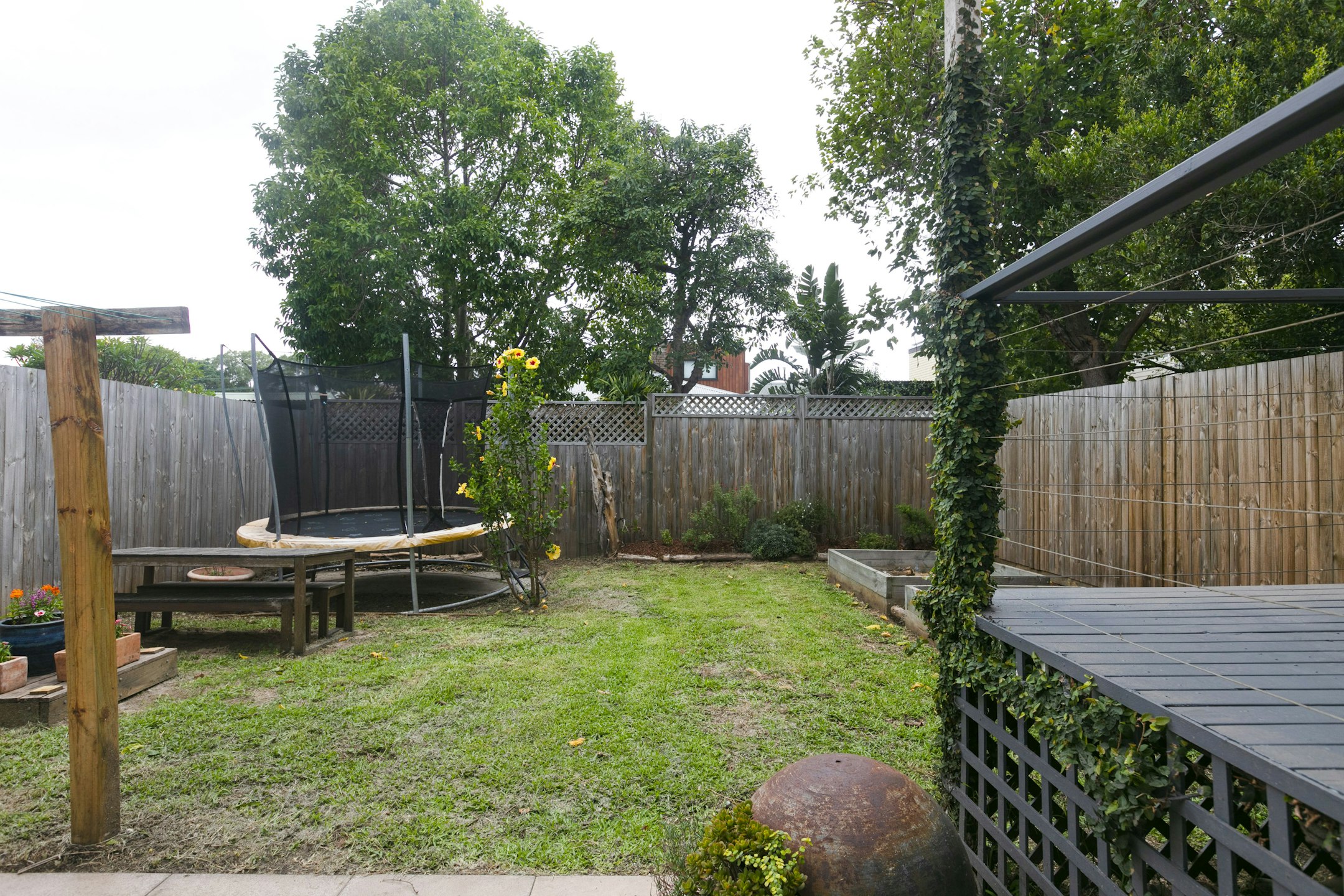 backyard