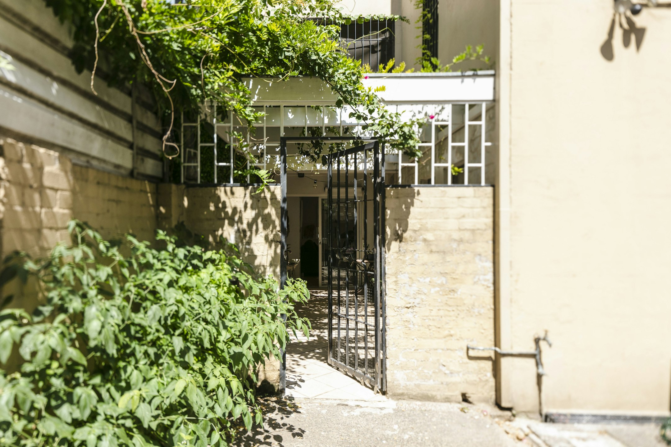 garden