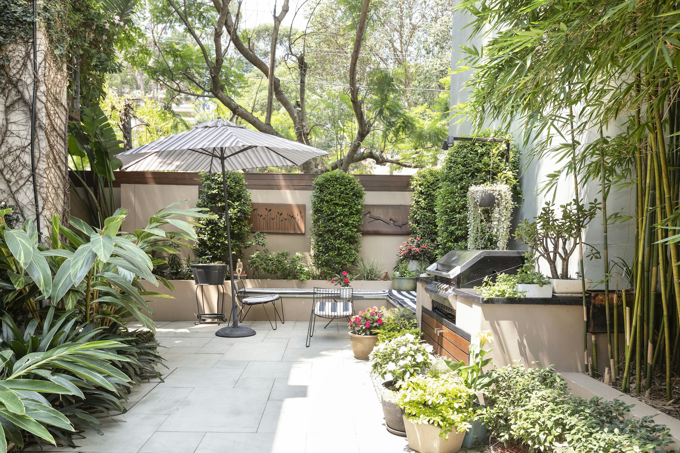 garden