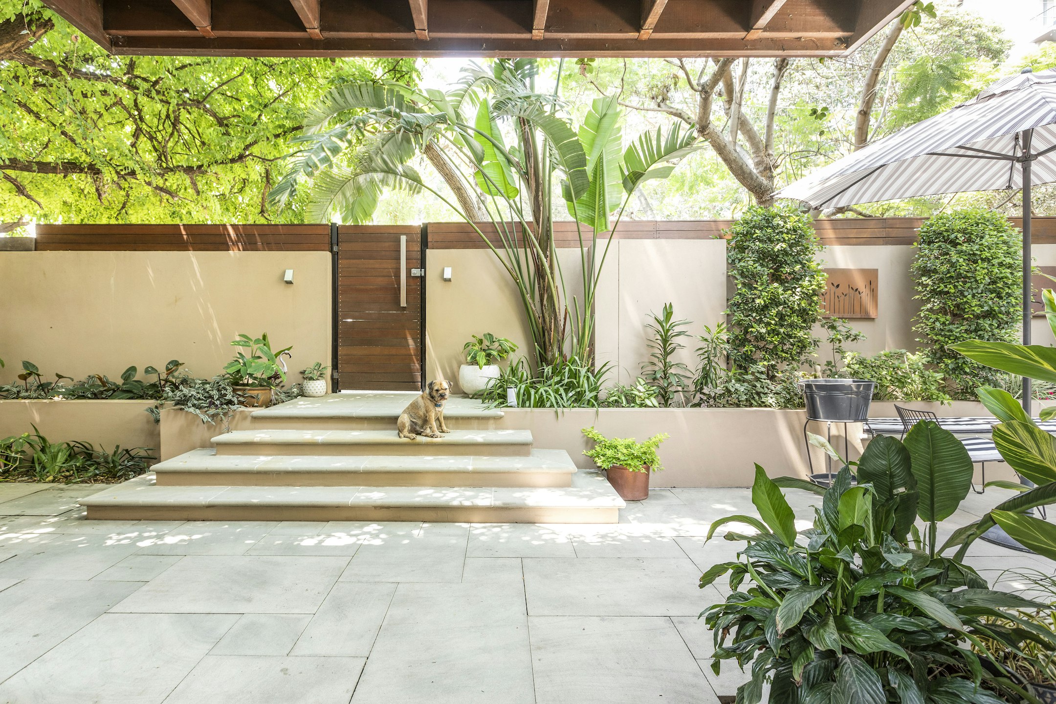 garden