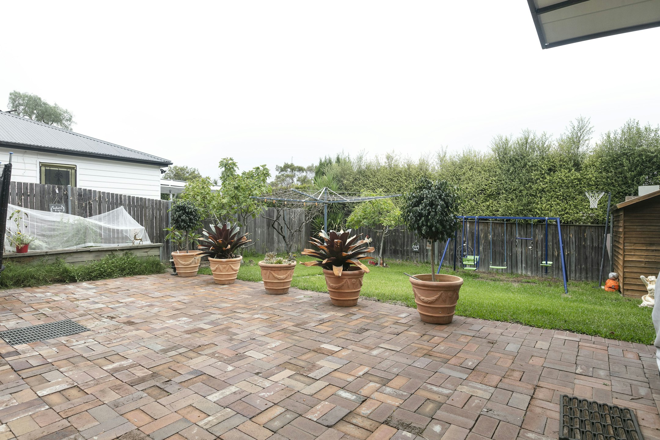 backyard
