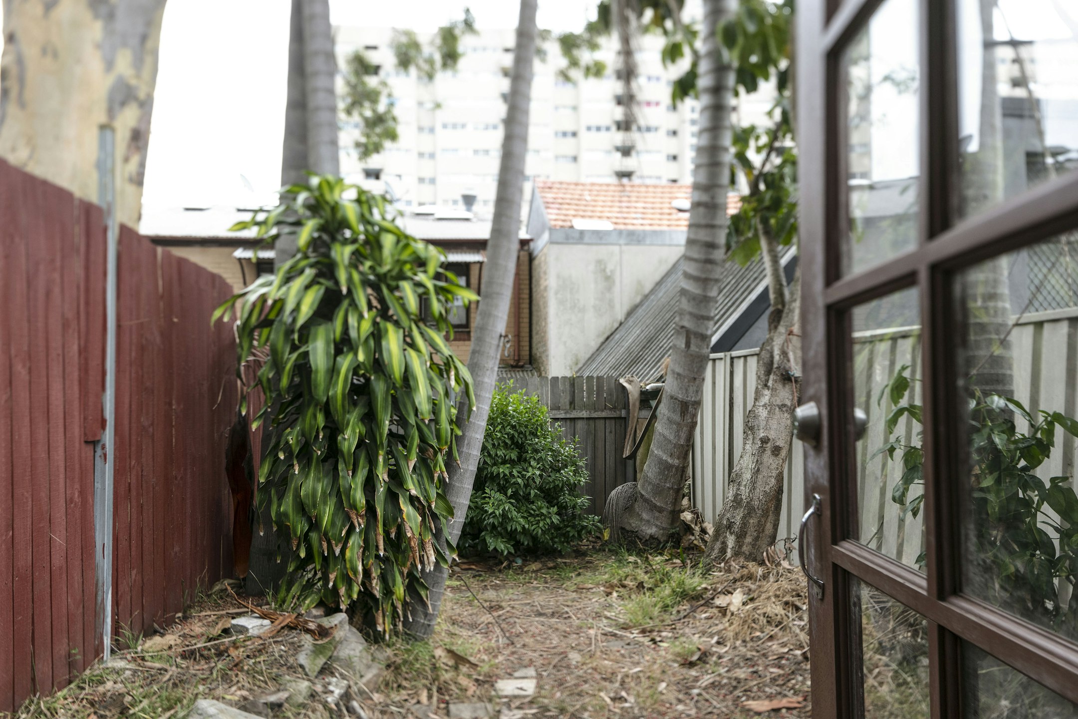 garden