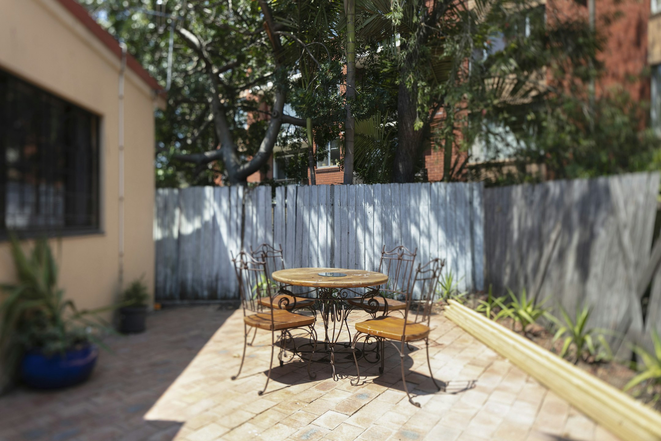 backyard
