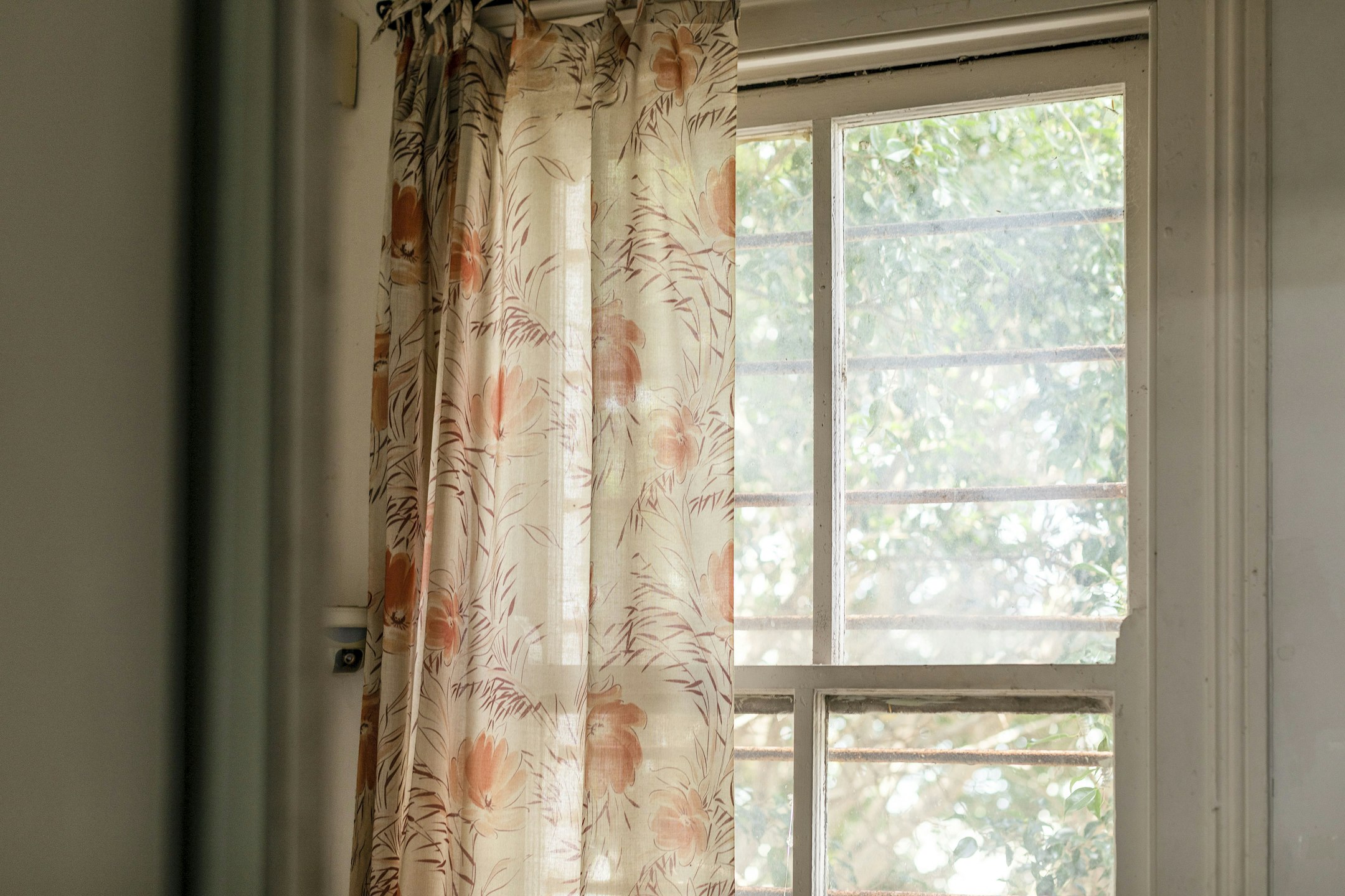 window