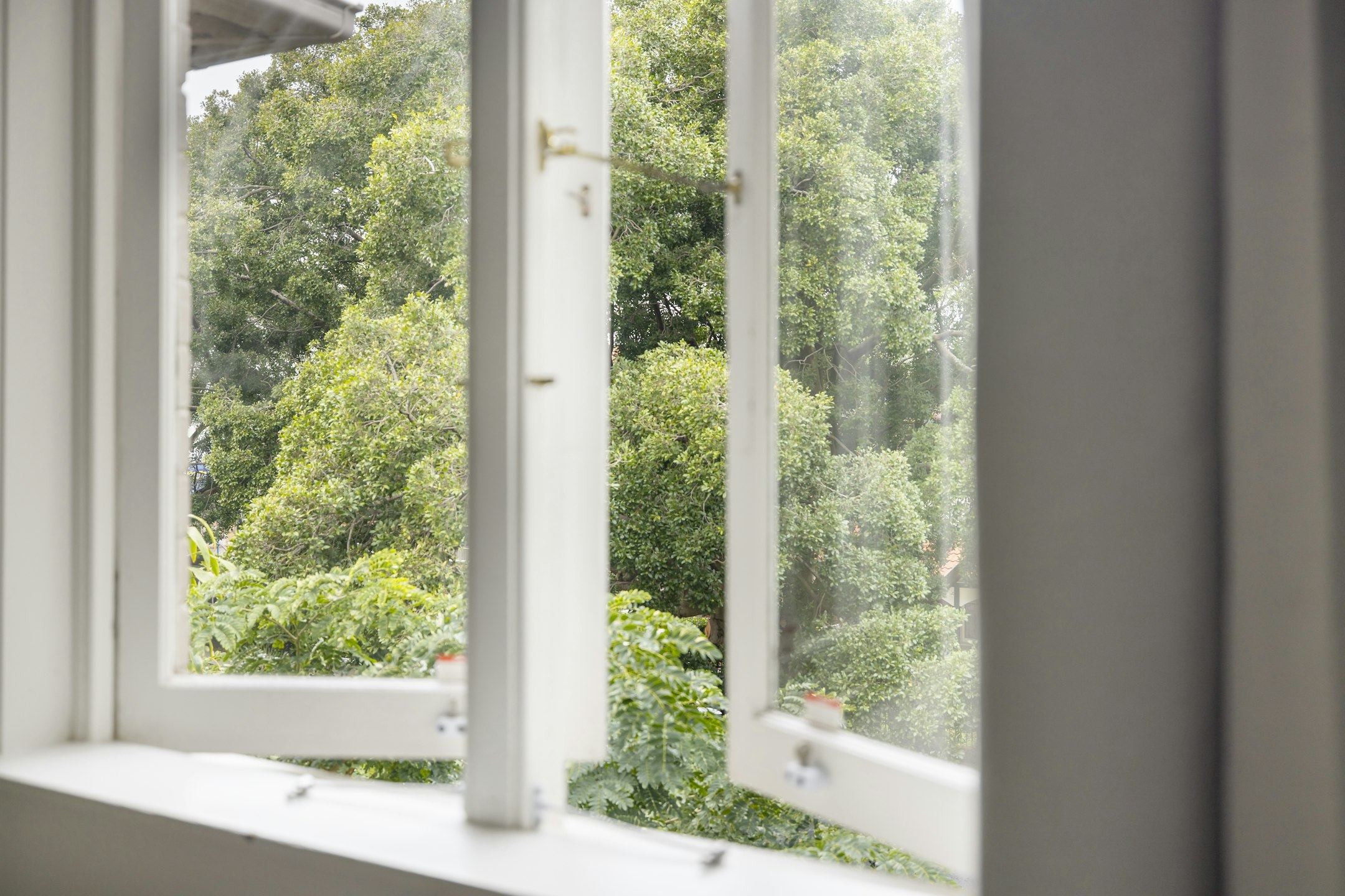 window