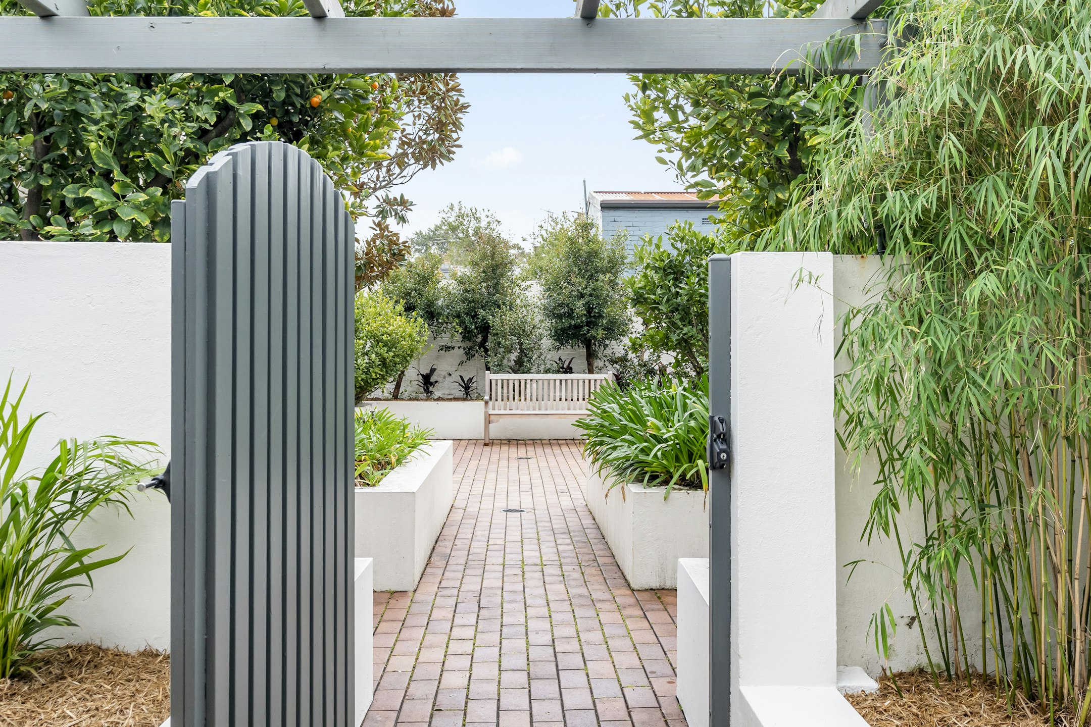 garden