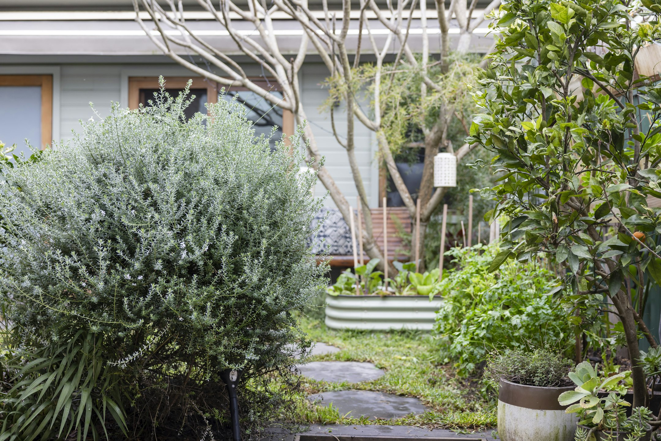 garden