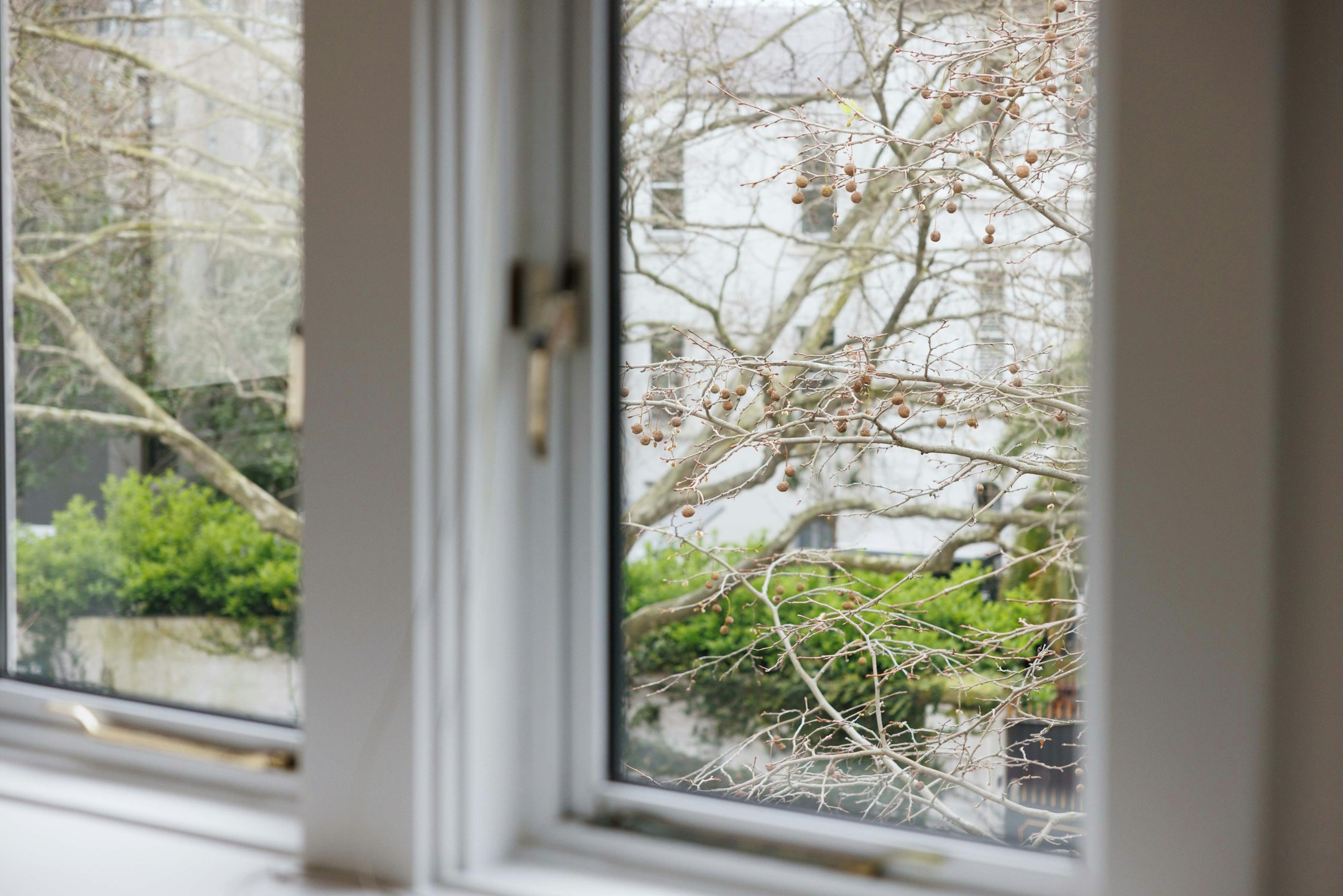 window
