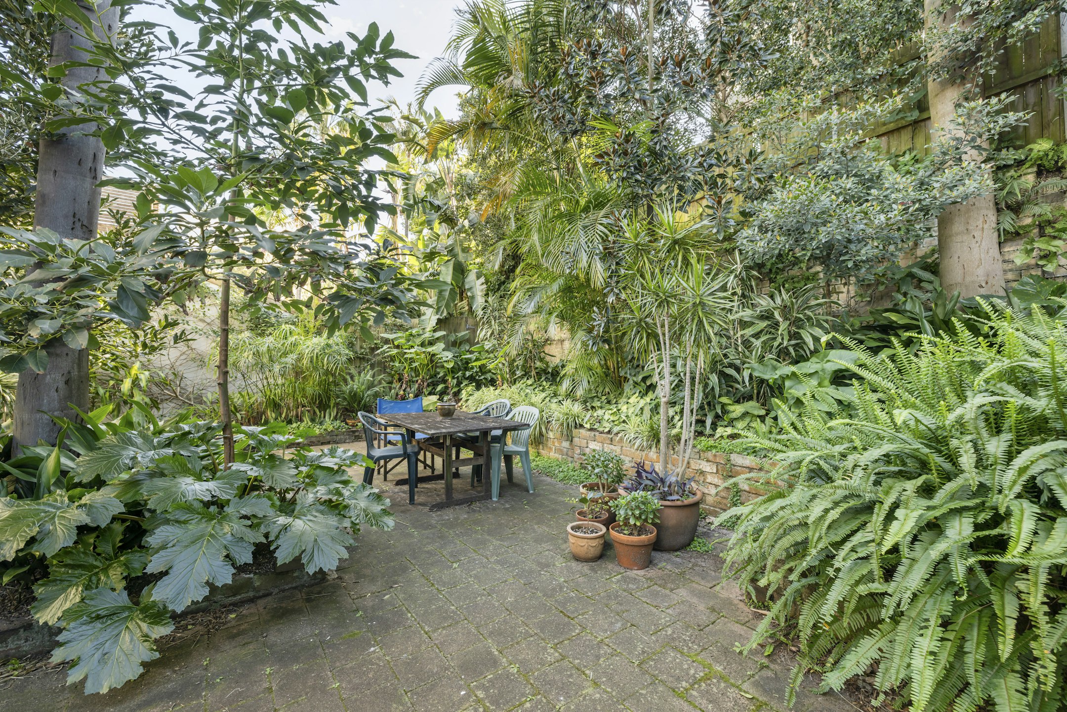 garden