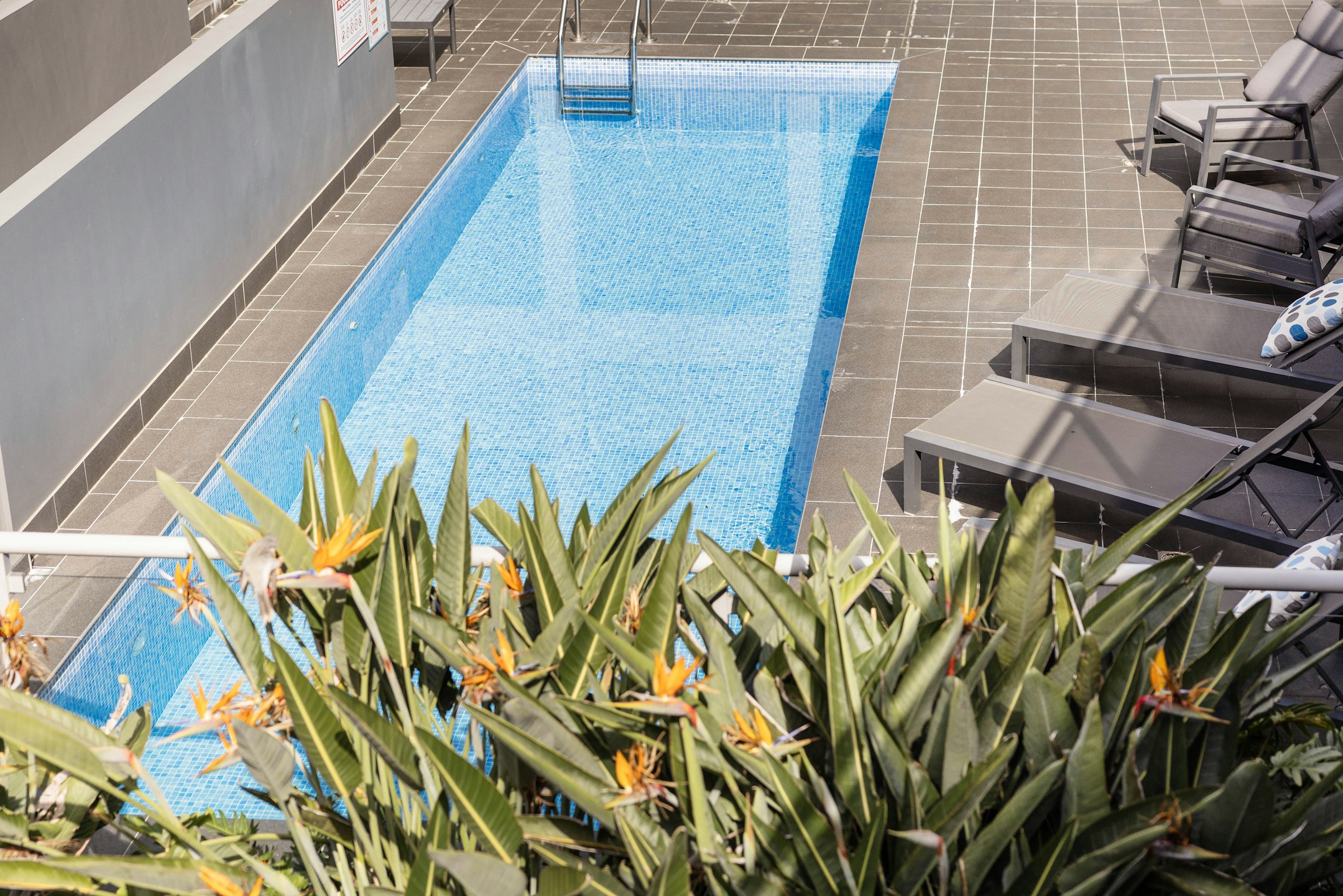 pool