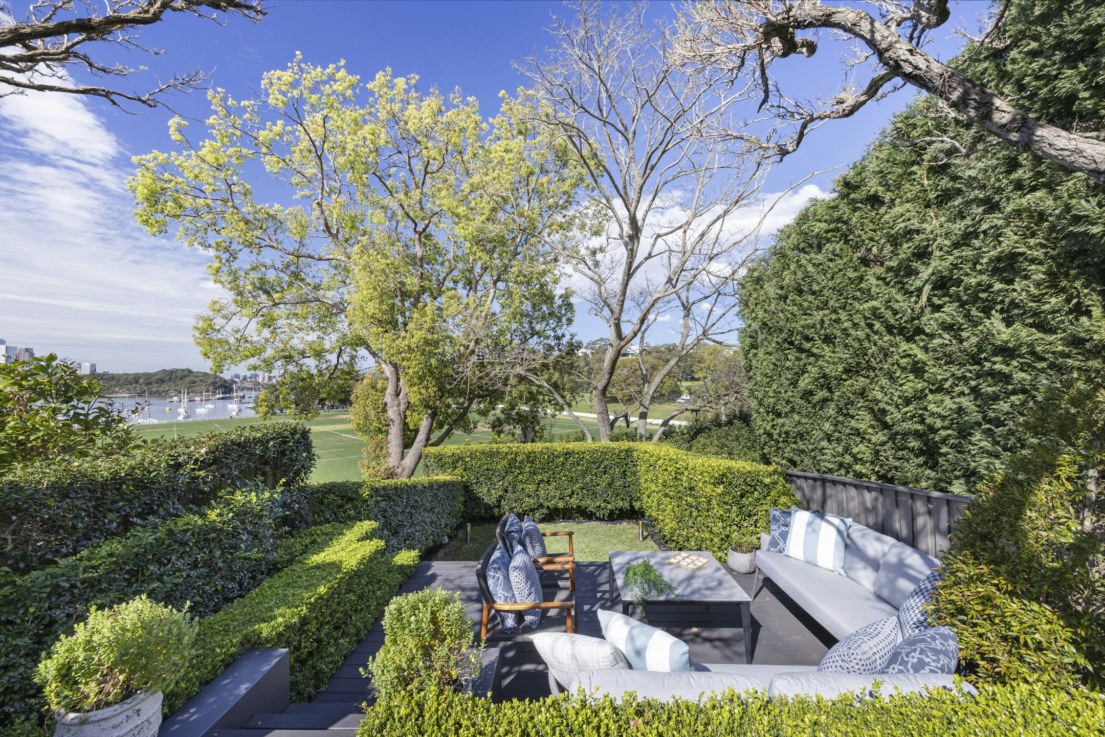 hedge