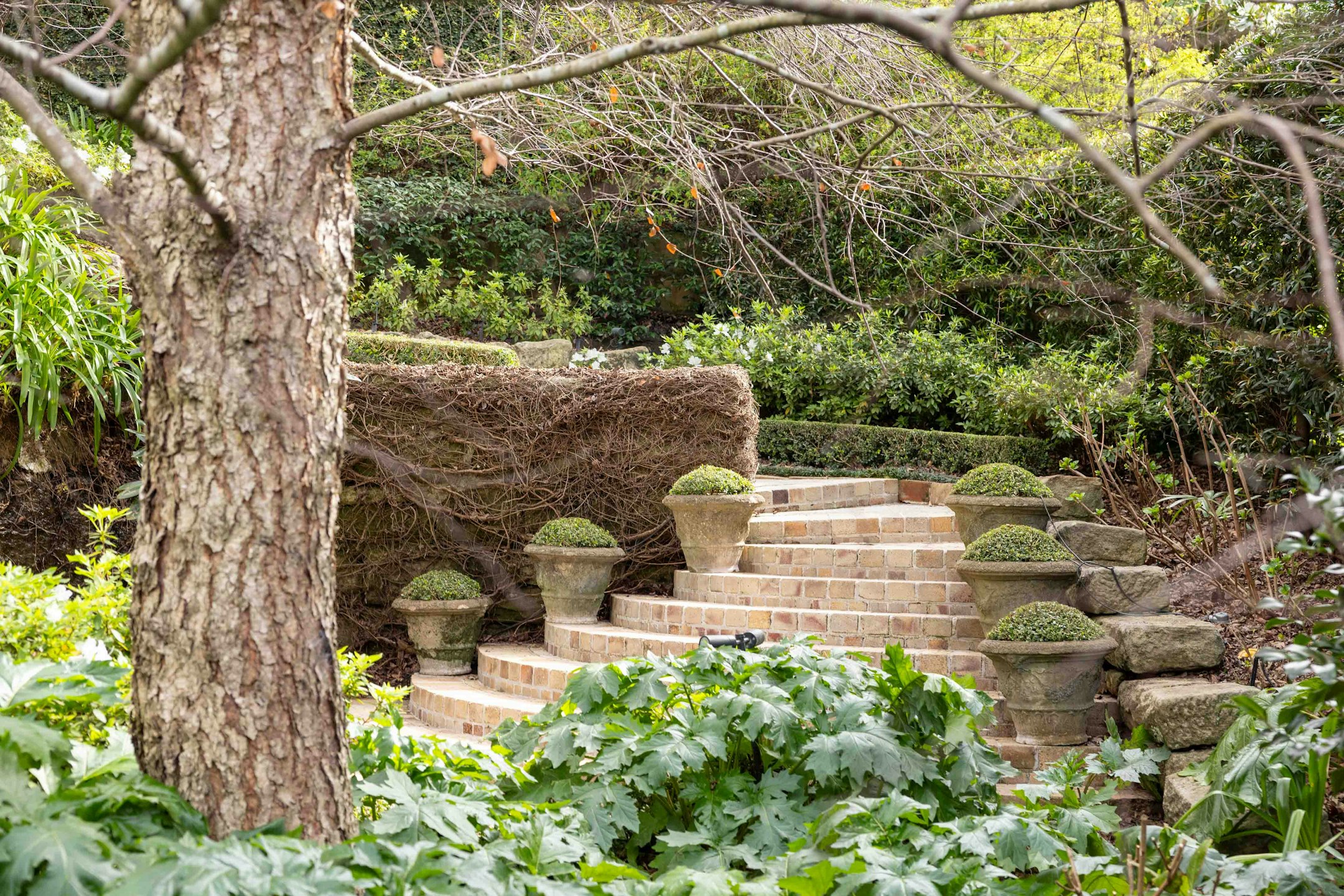 garden