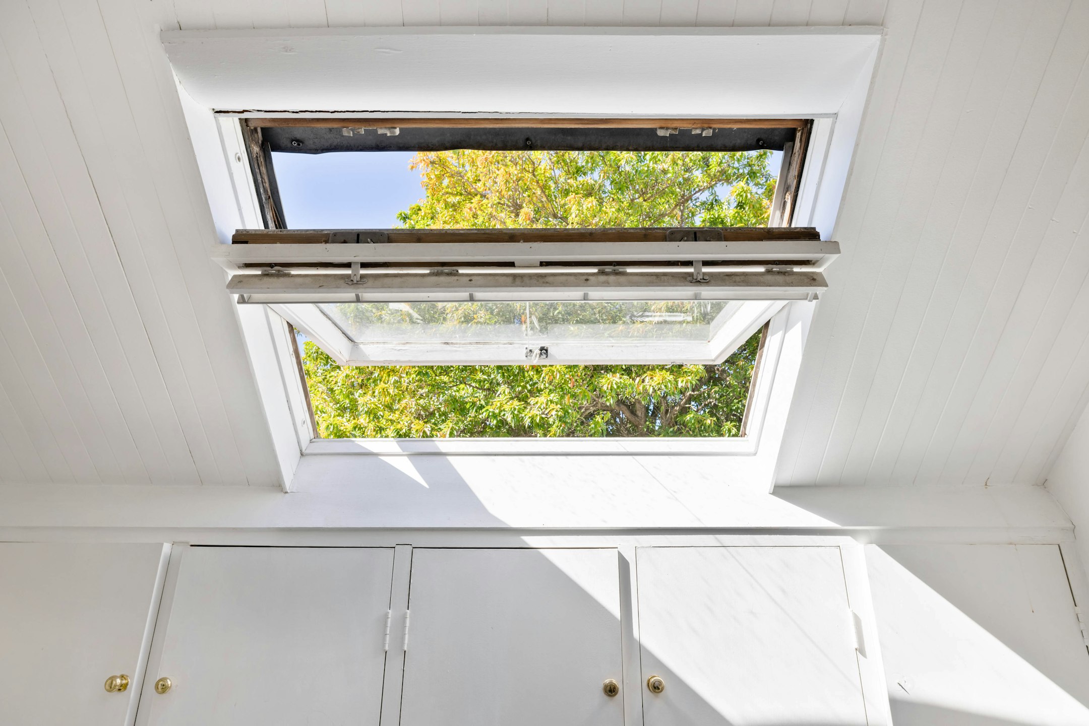 window