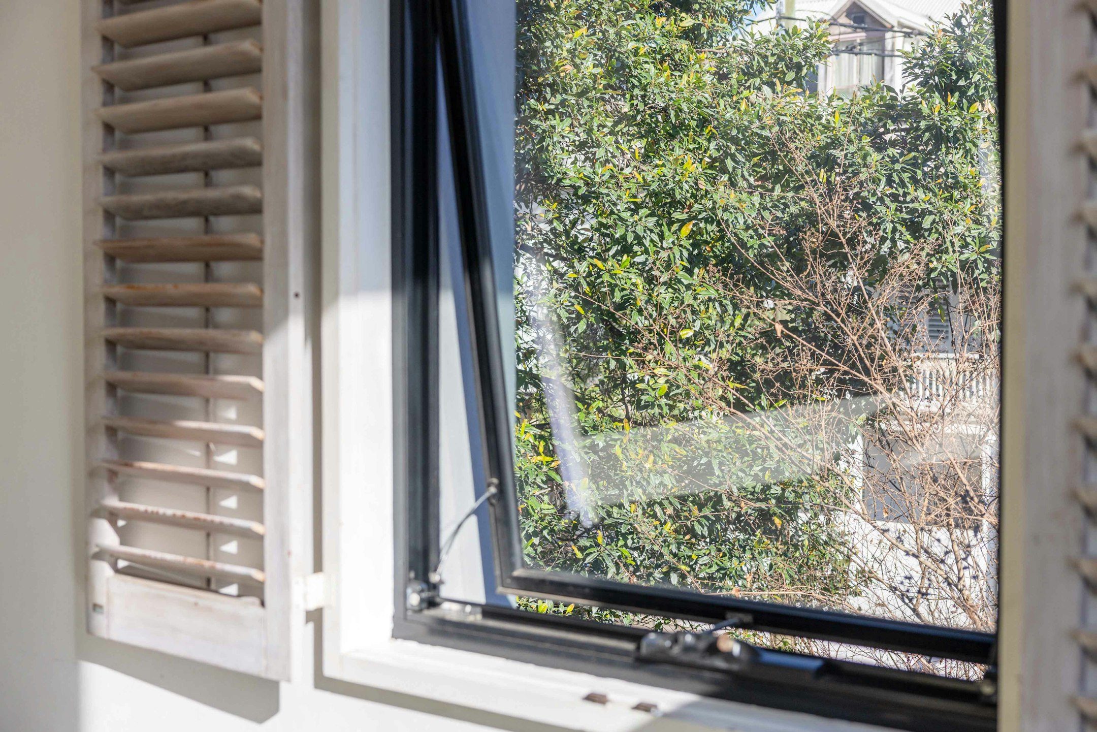 window