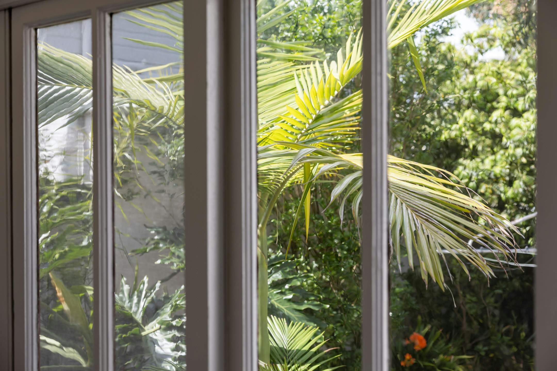 french window