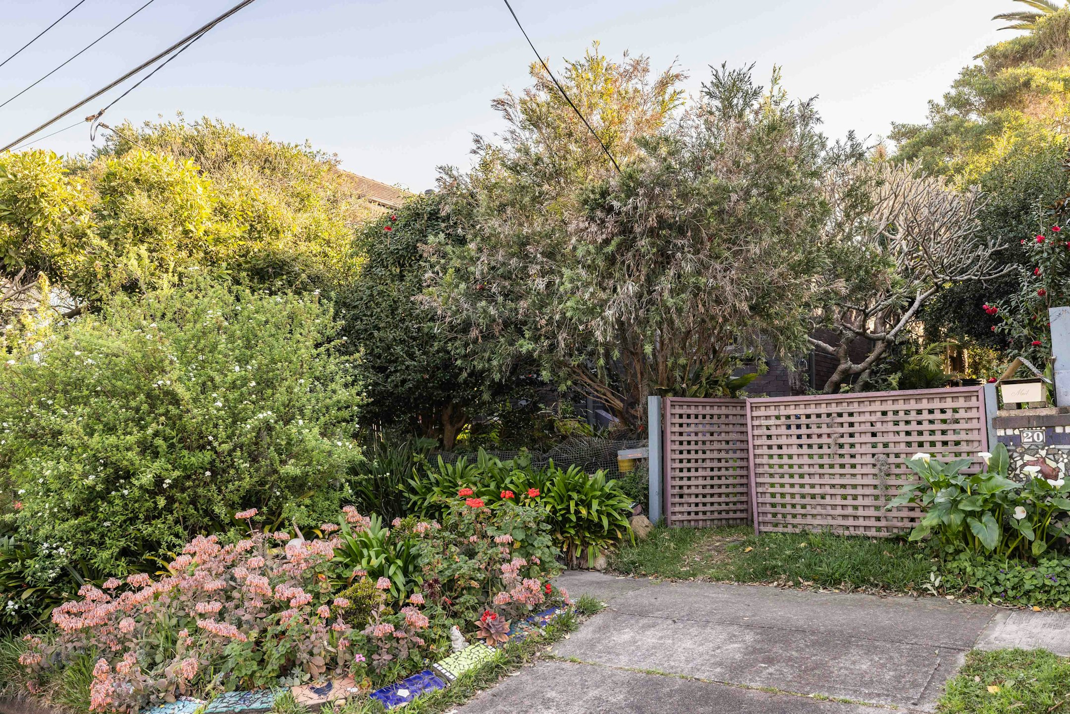 garden