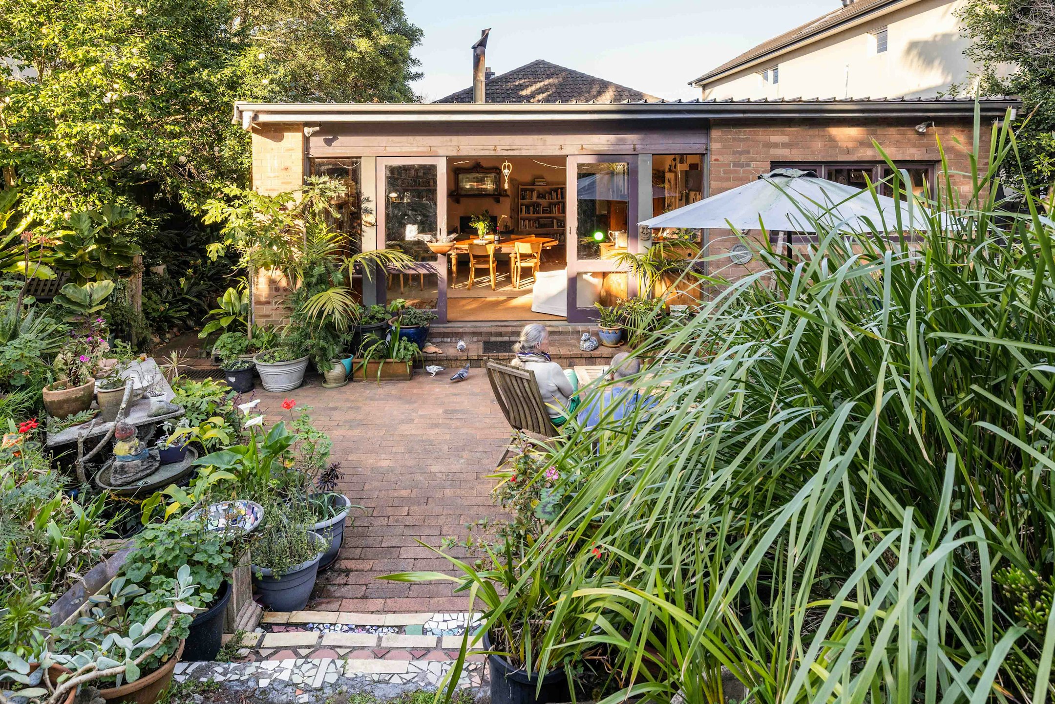 backyard
