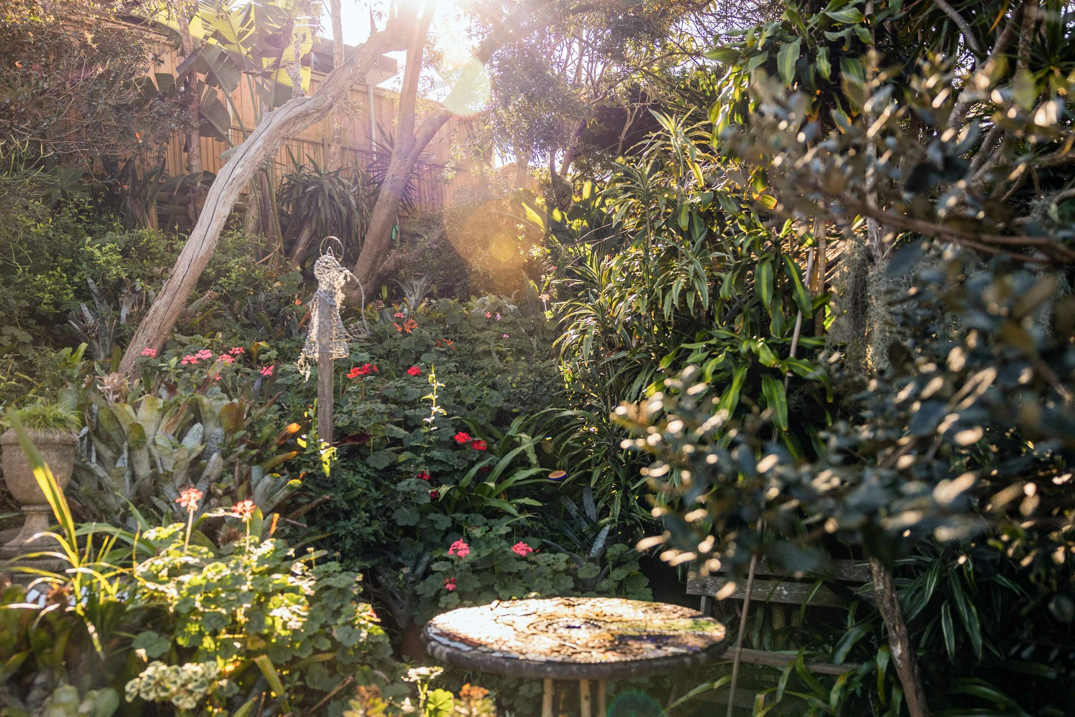 garden