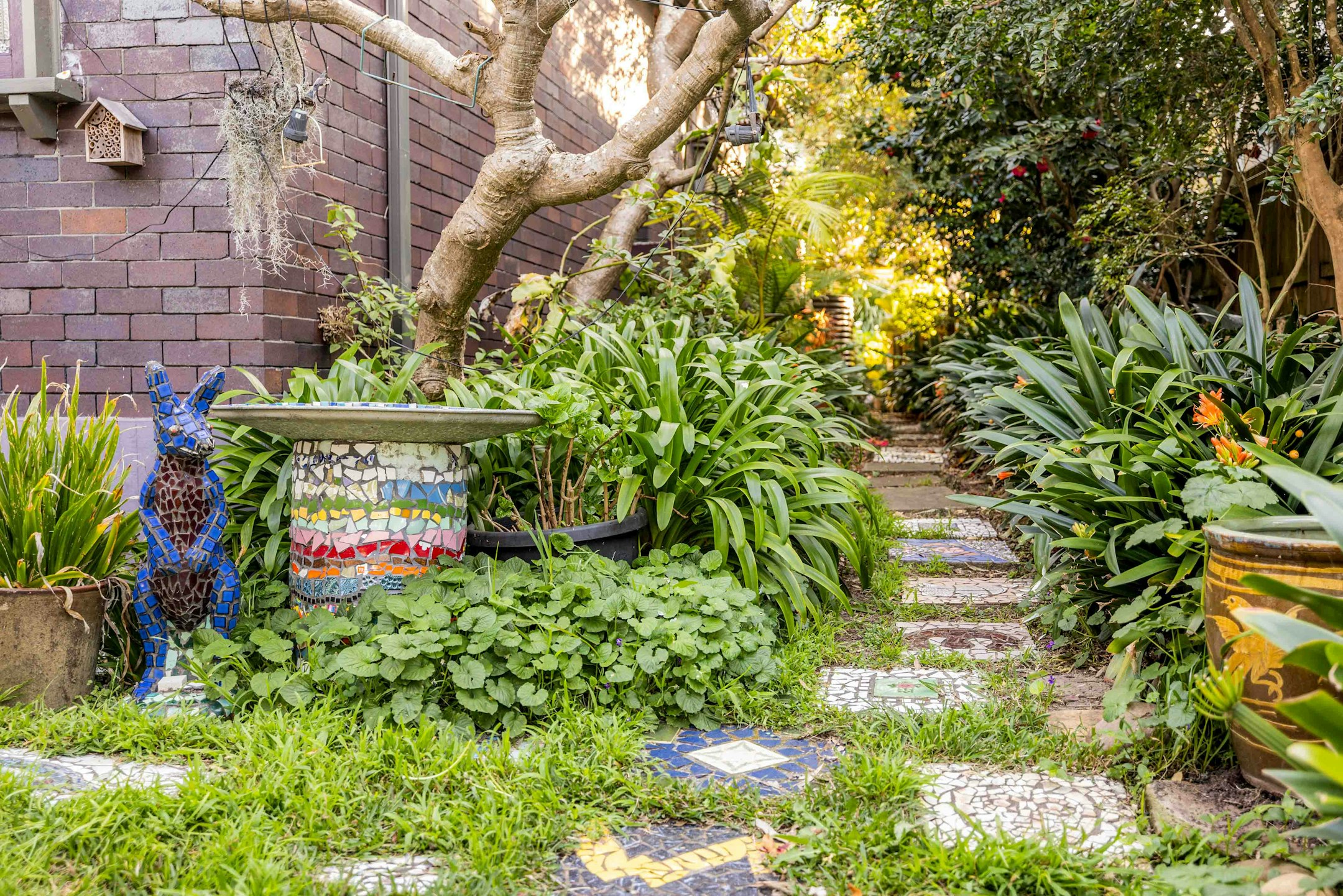 garden
