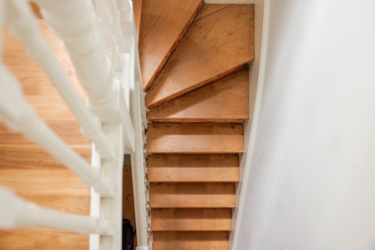hardwood