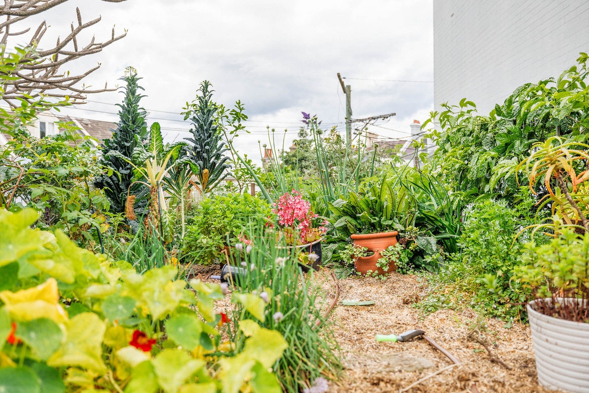 garden