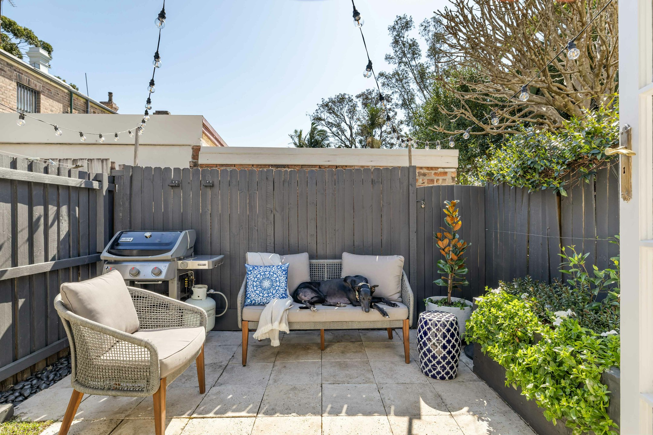 backyard