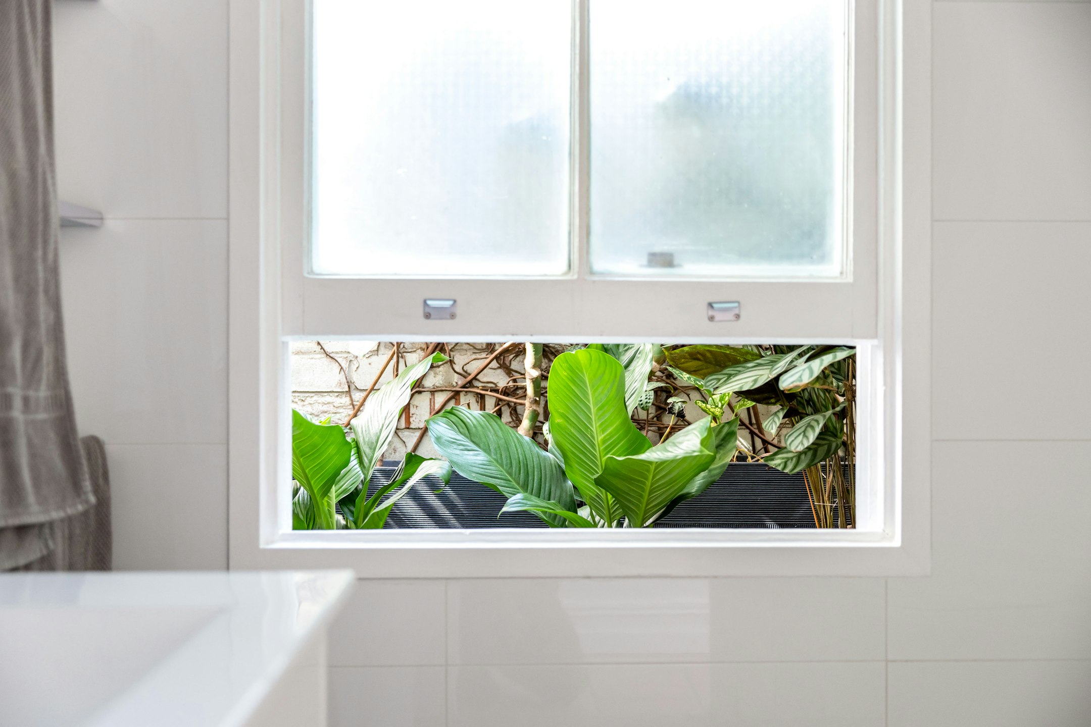 window