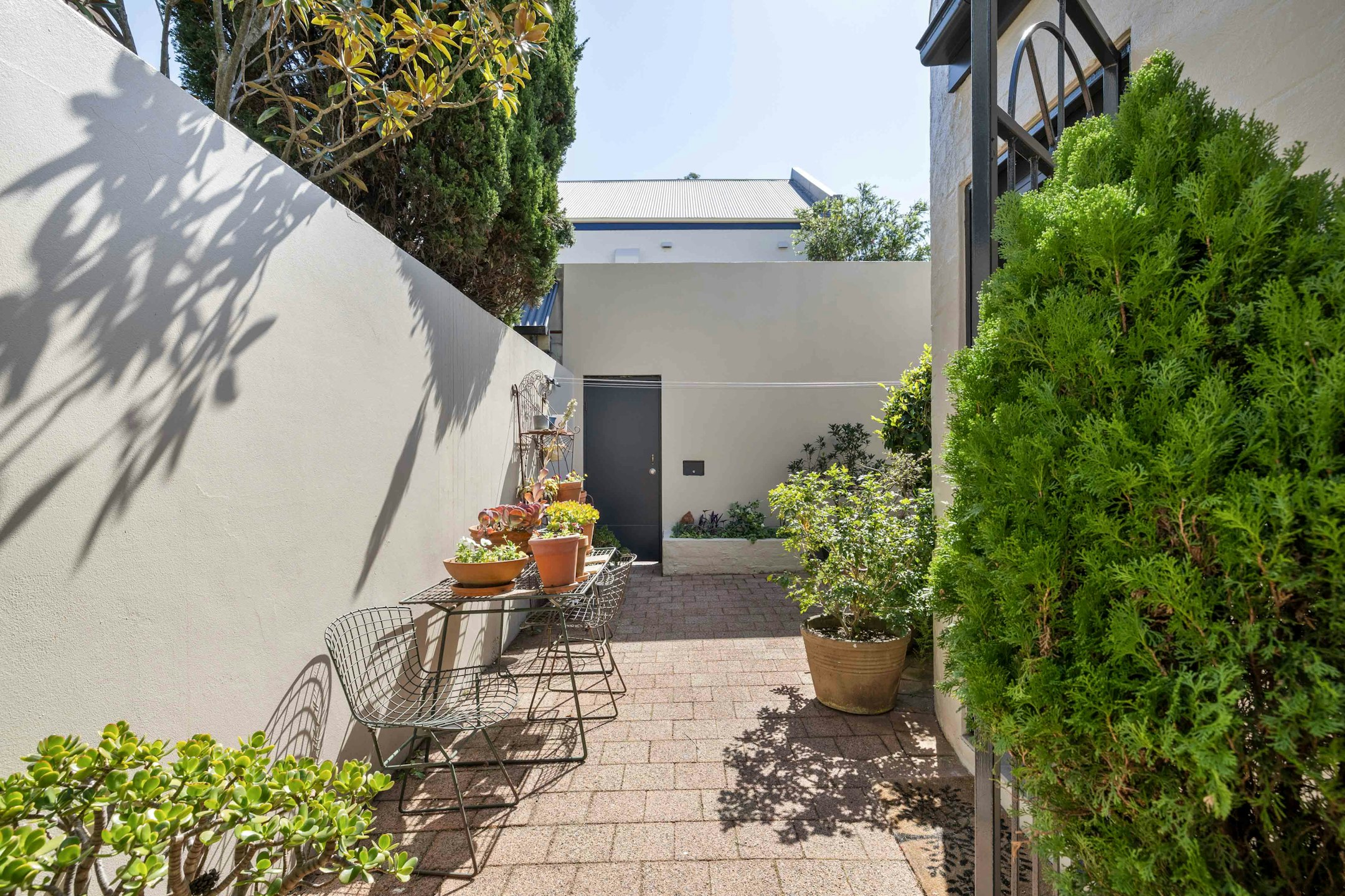 garden