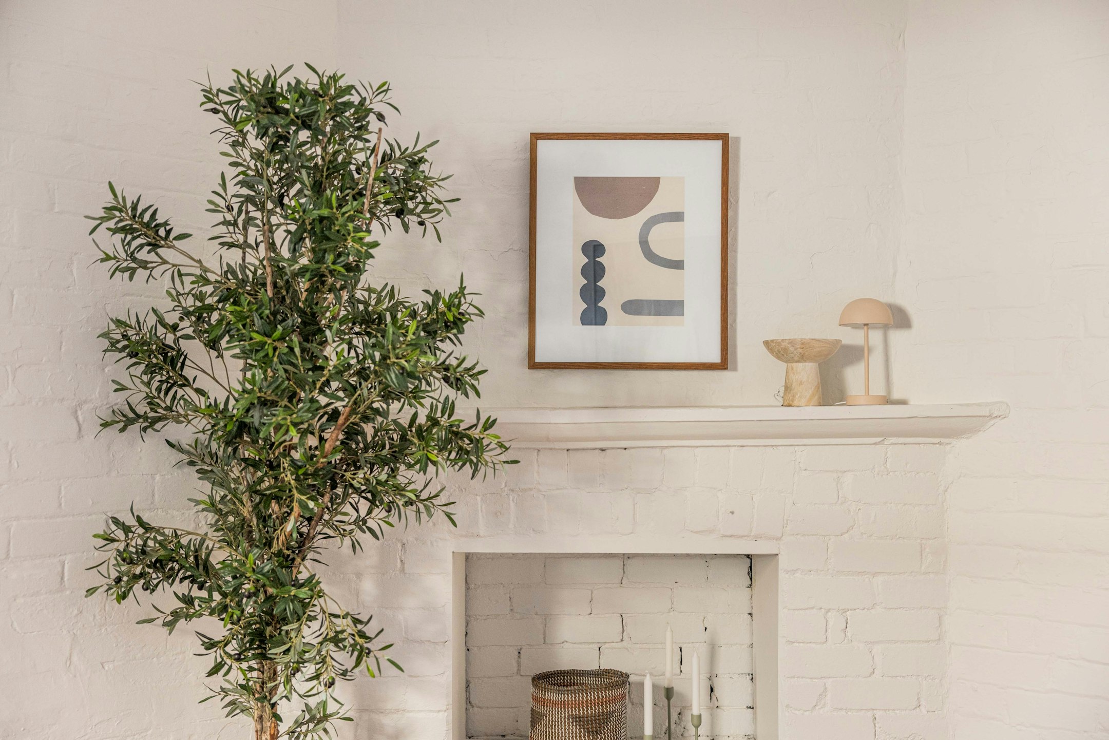 plant