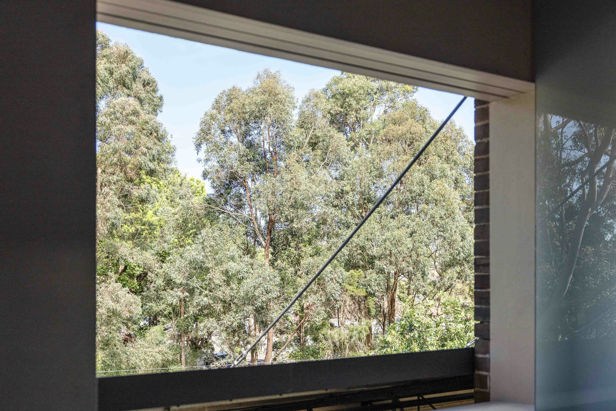 window