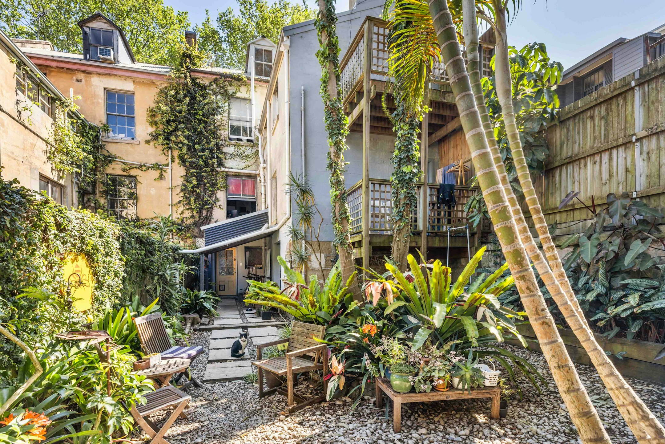 backyard