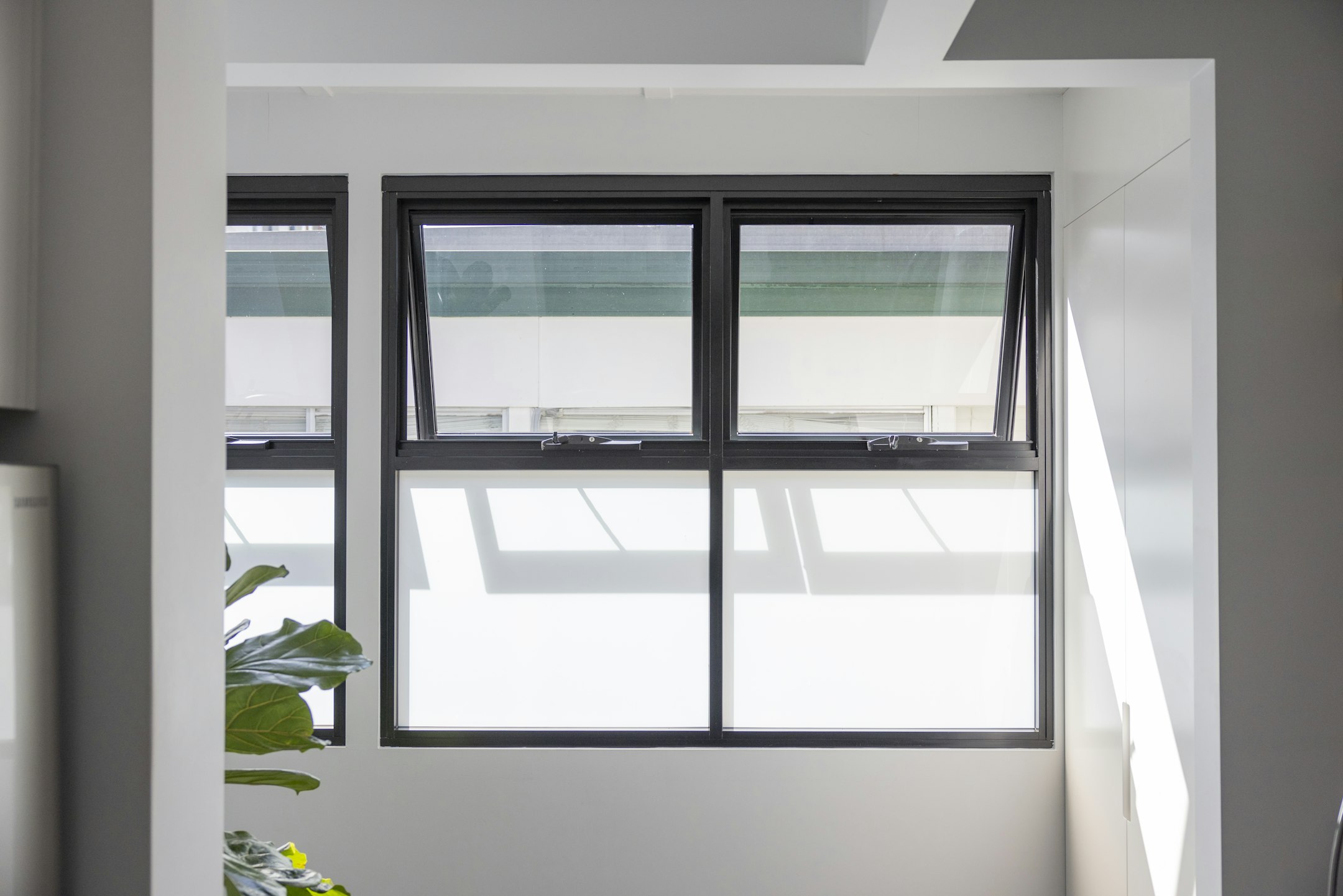 window