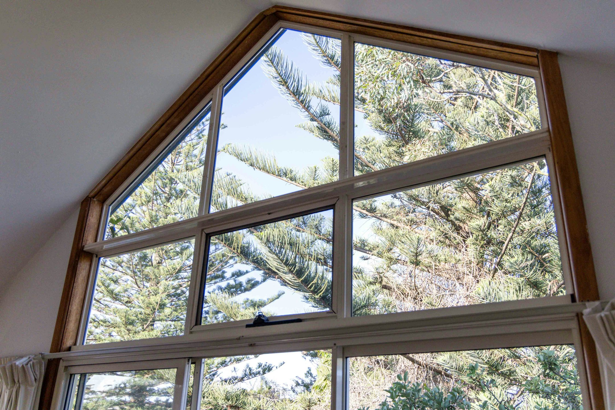 window