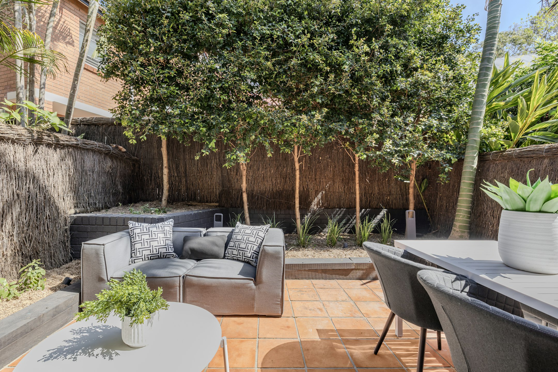 backyard