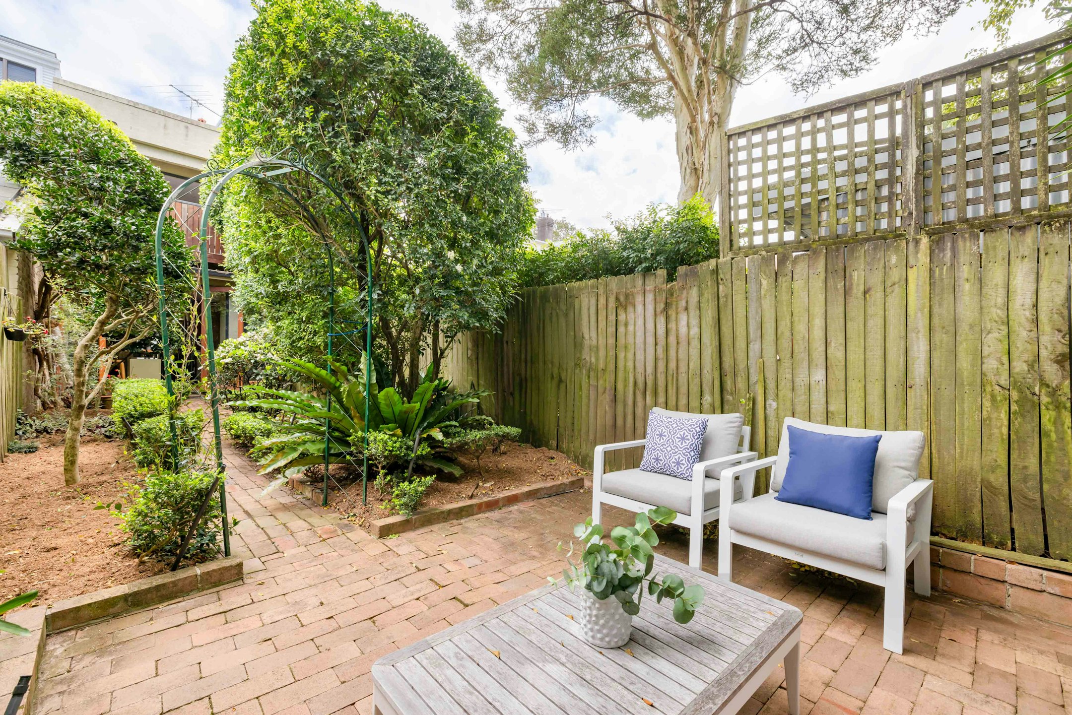 backyard