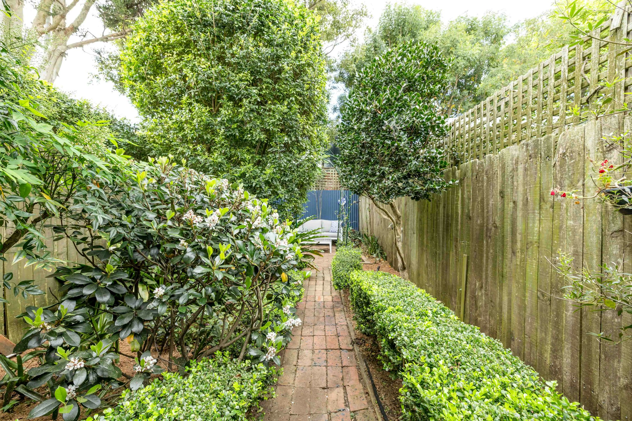 garden