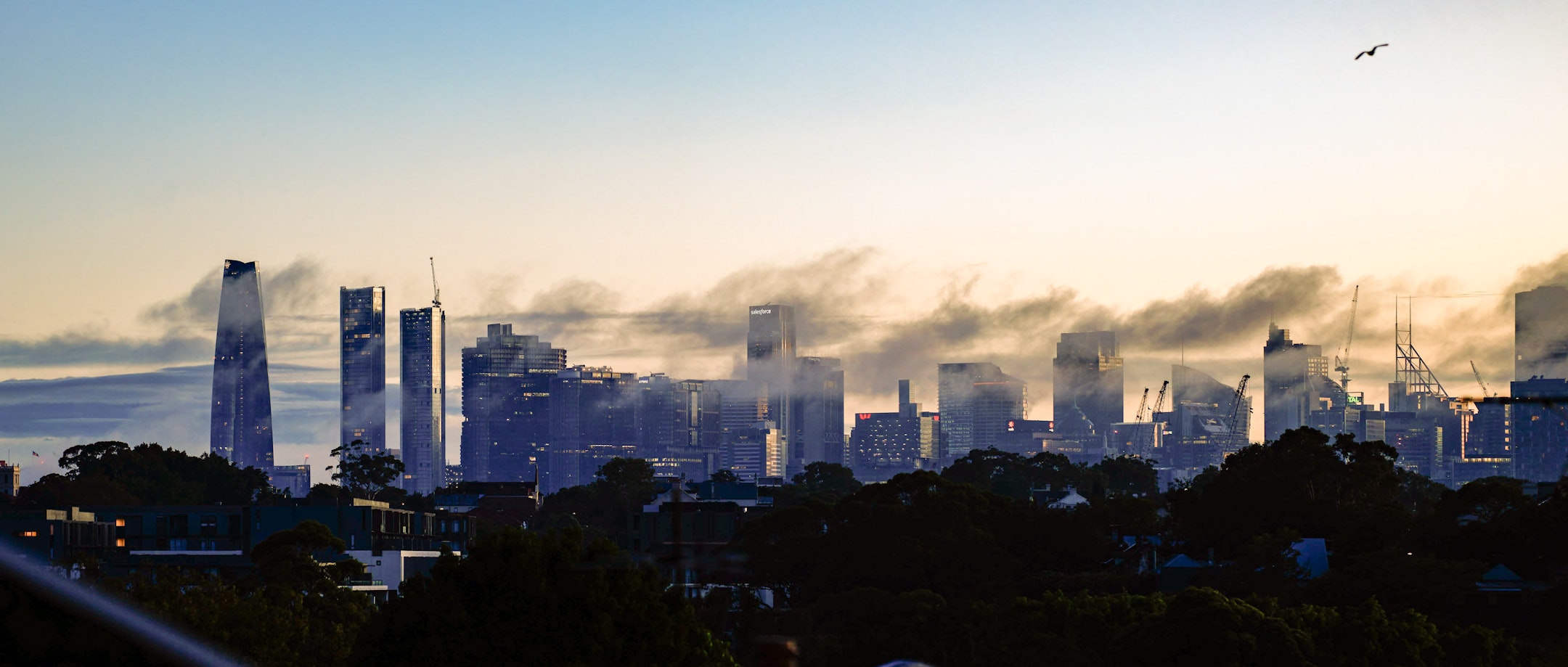 city
