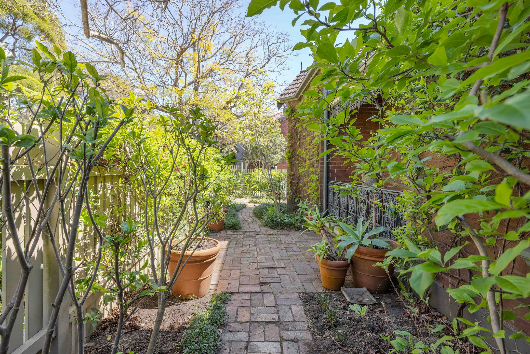 garden