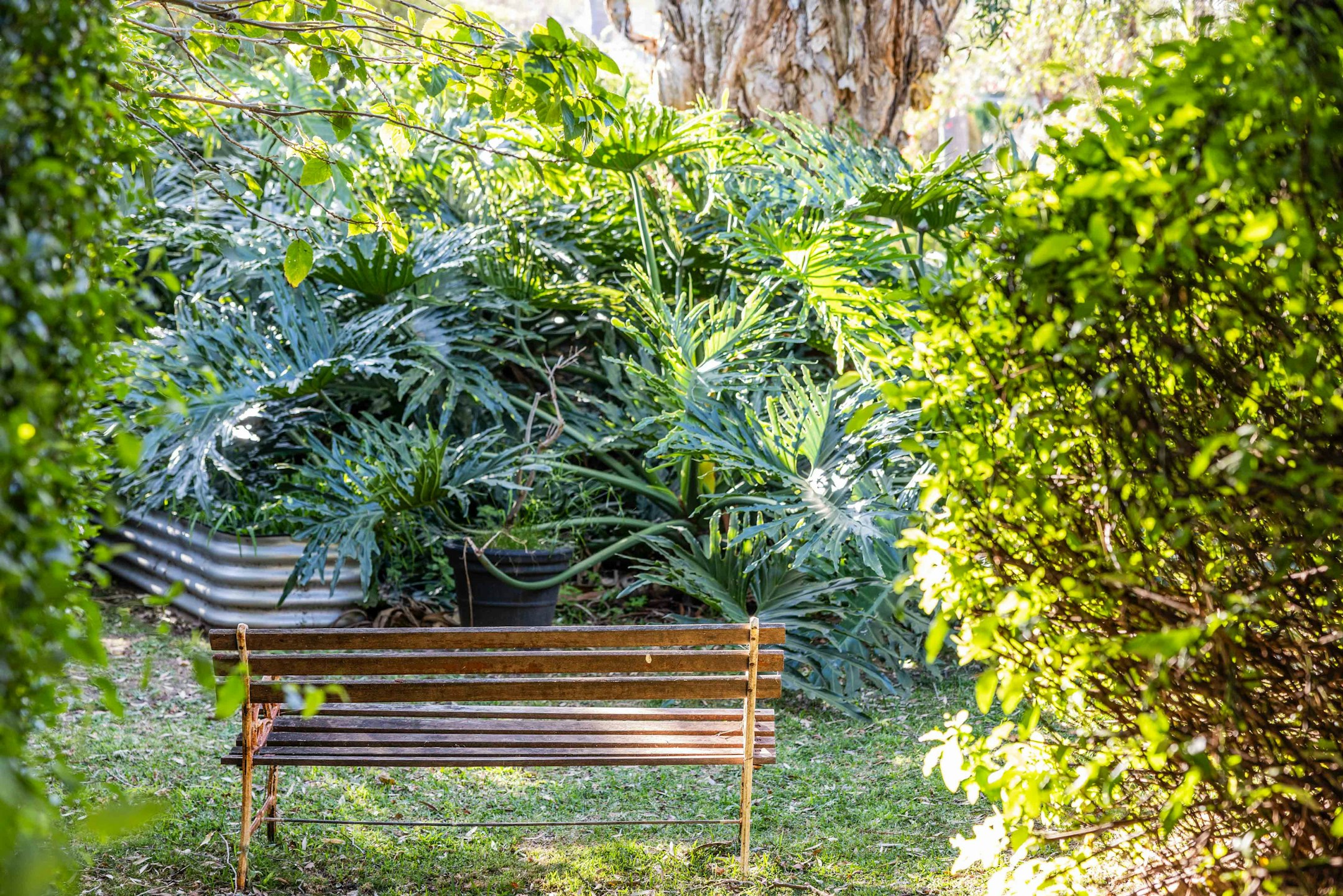 bench
