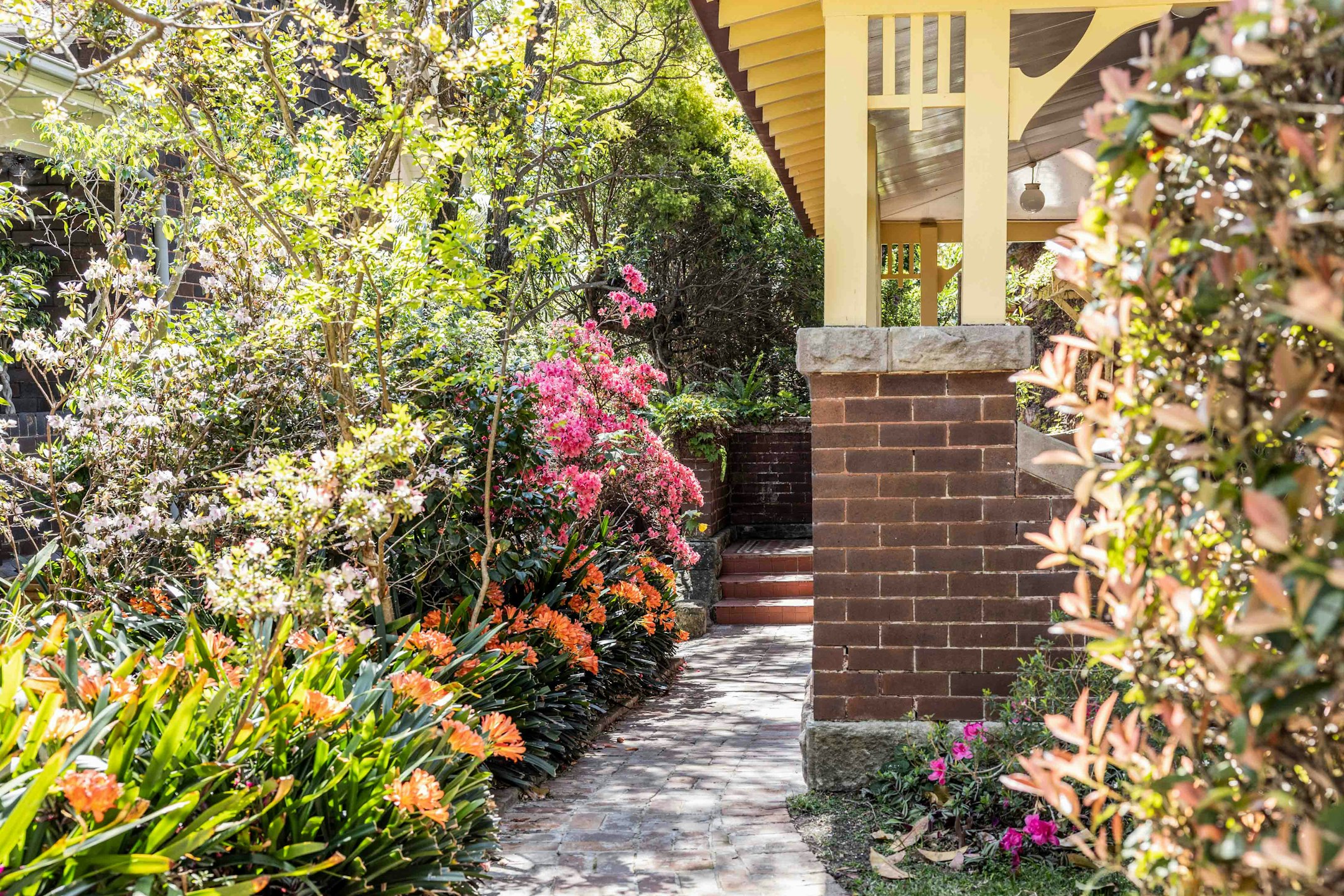 garden
