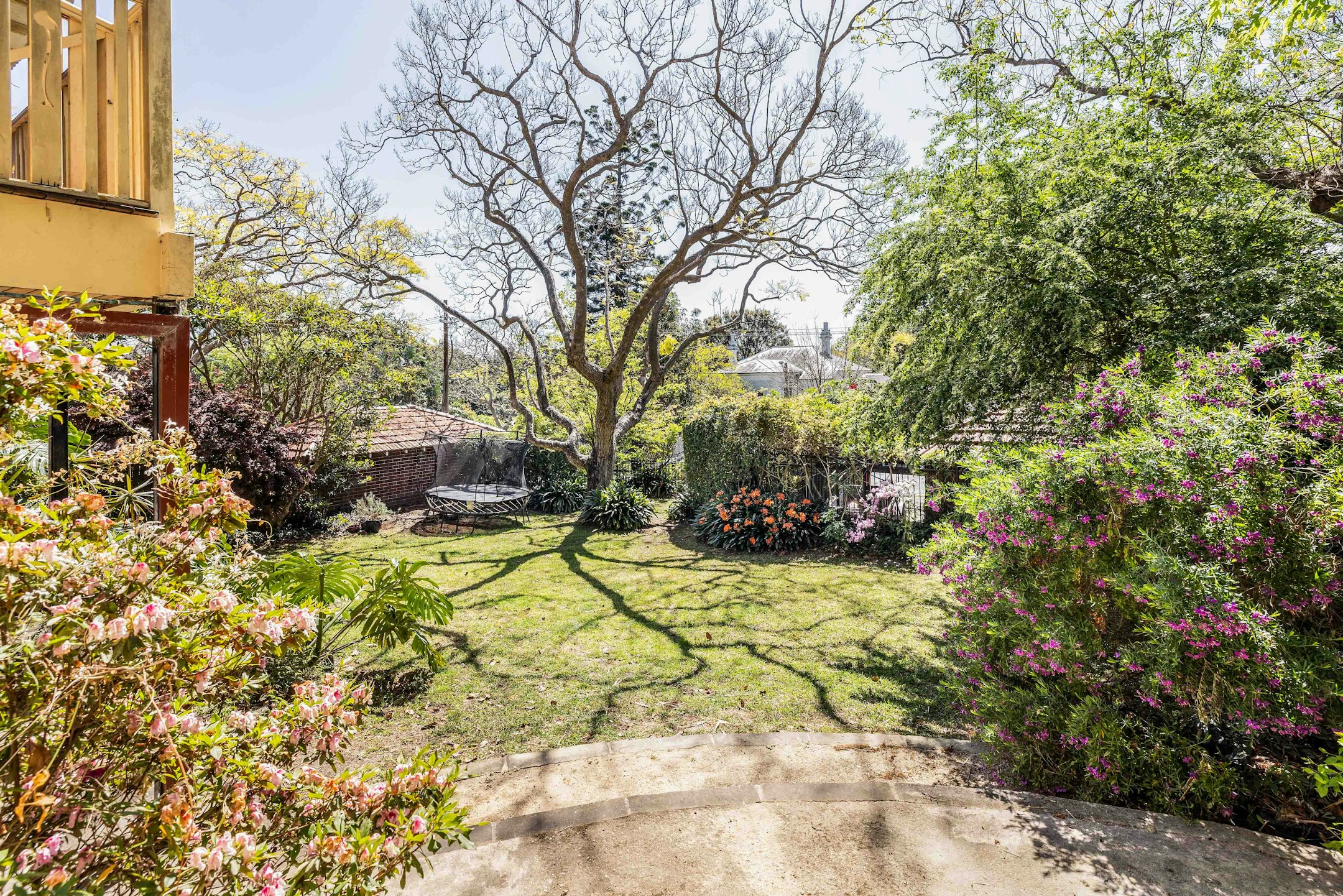 garden