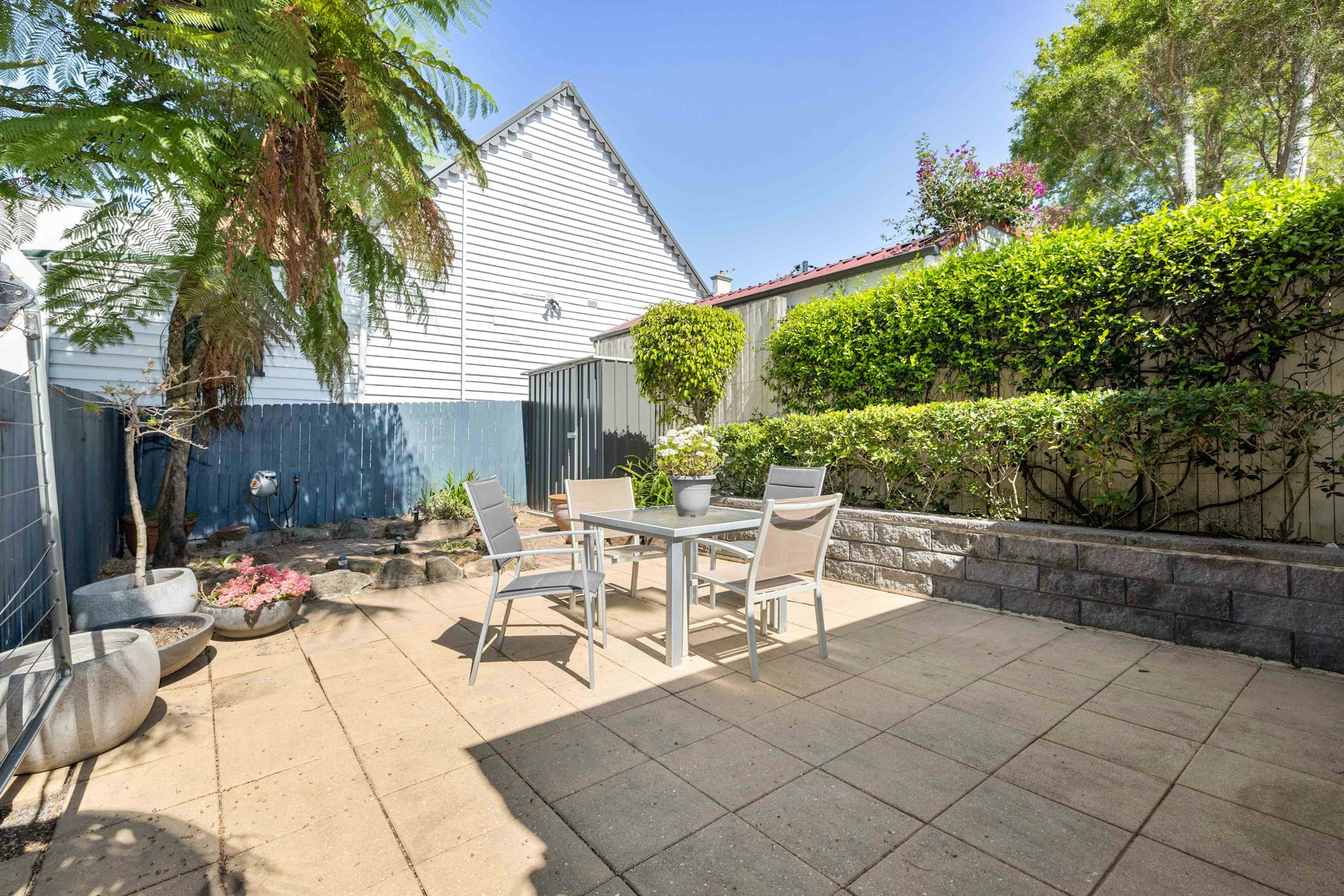 backyard